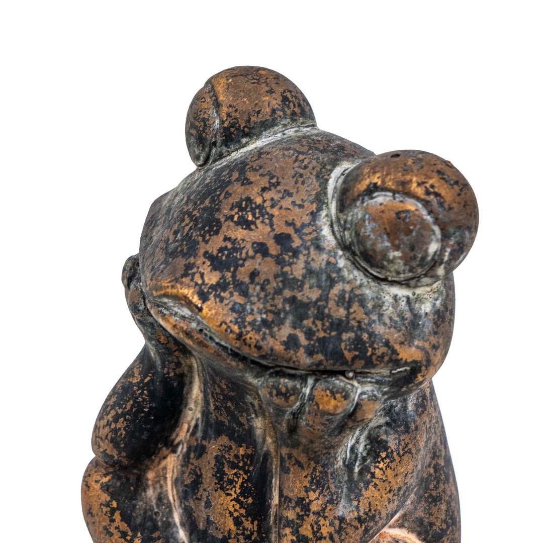 DRIFA FROG DECOR