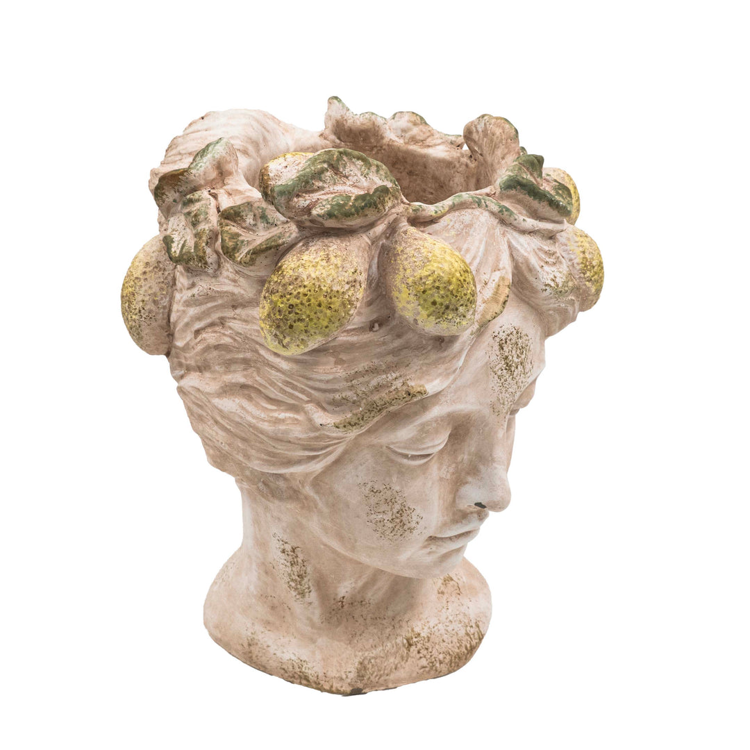 DRIFA LIMONE HEAD POT