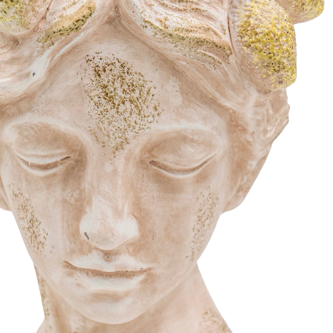 DRIFA LIMONE HEAD POT