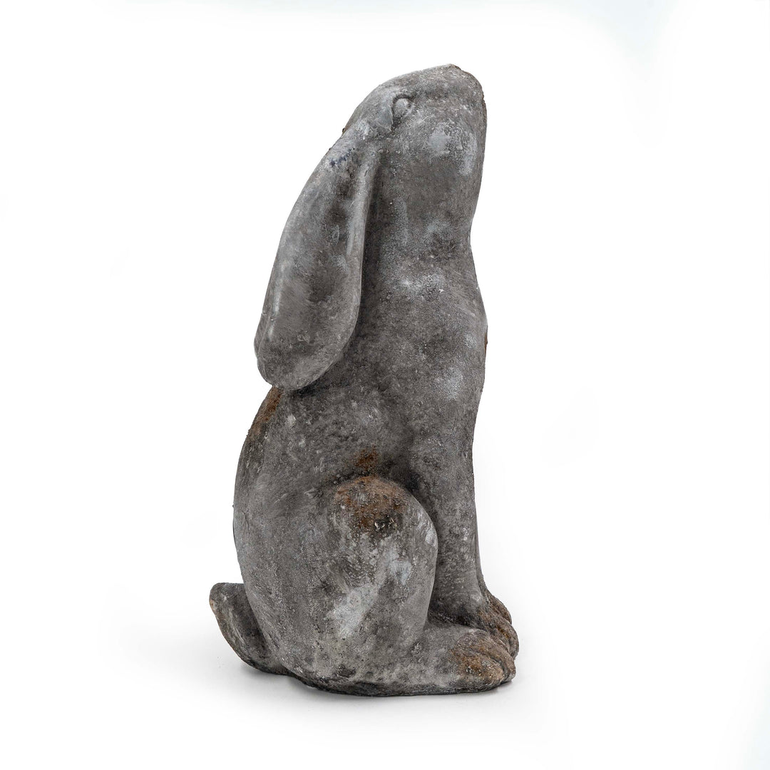 DRIFA STAR GAZER HARE DECOR