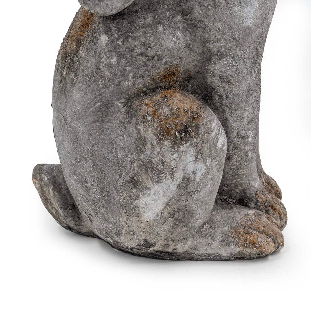 DRIFA STAR GAZER HARE DECOR