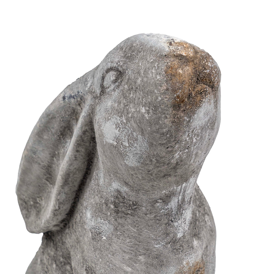 DRIFA STAR GAZER HARE DECOR