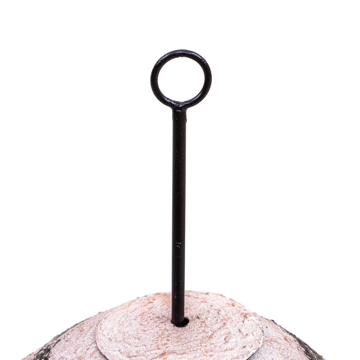 Rustic Mushroom