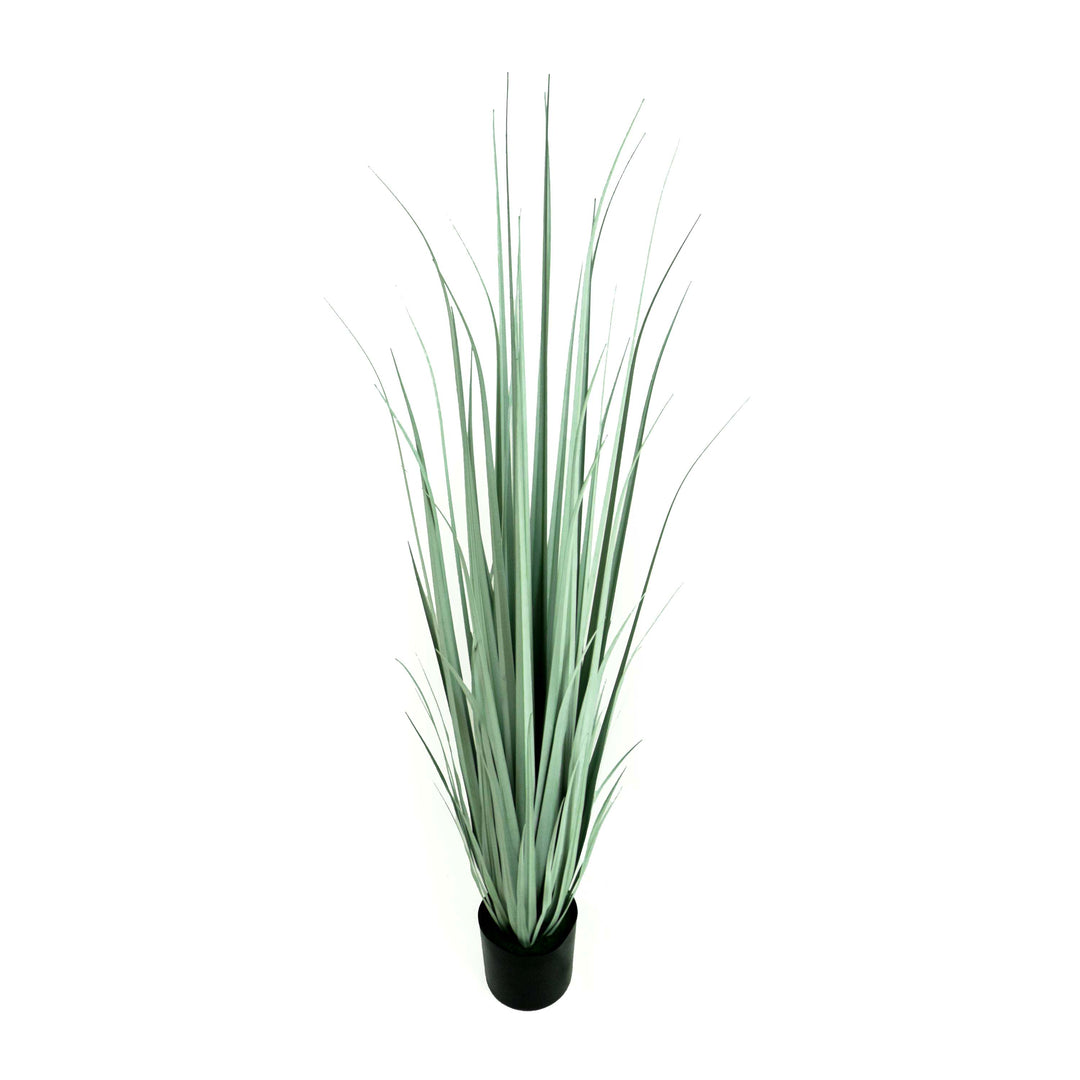 Faux Gladiolus Grass With Pot - 5 Feet
