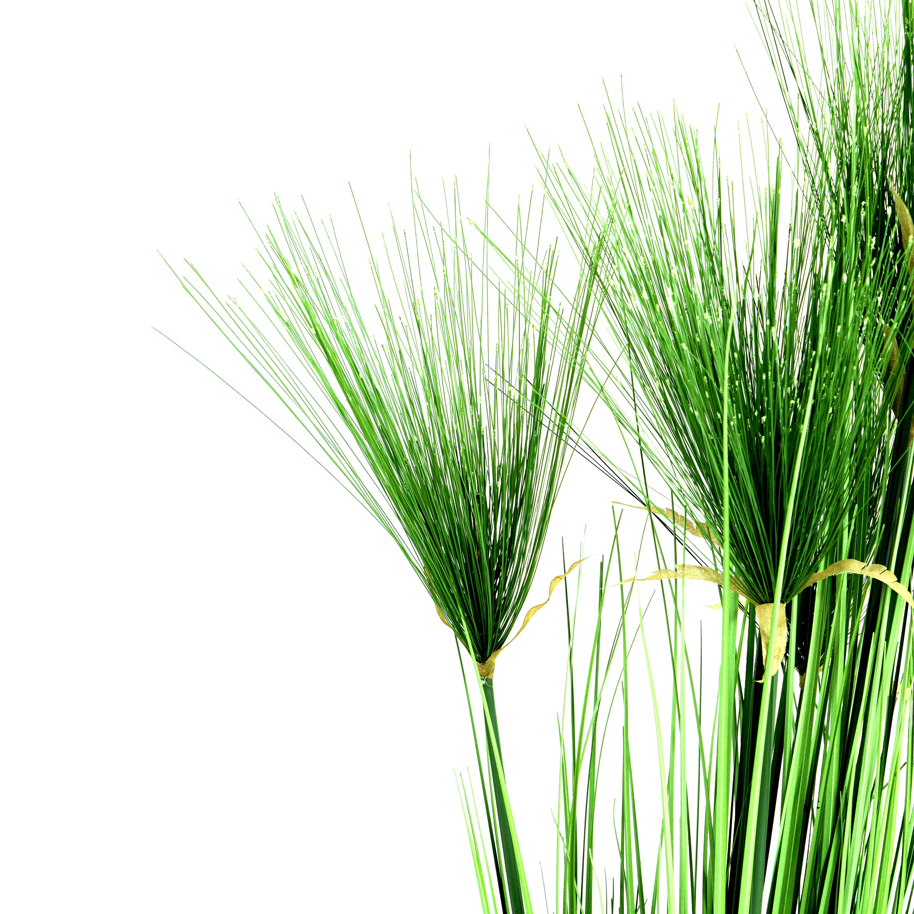 Faux Cycas Grass With Pot - 5 Feet