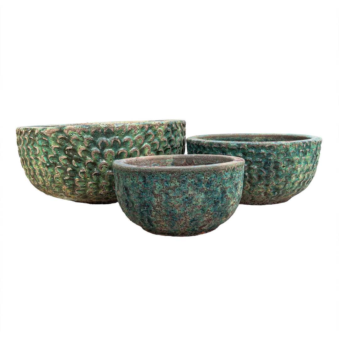 Cultus Pot