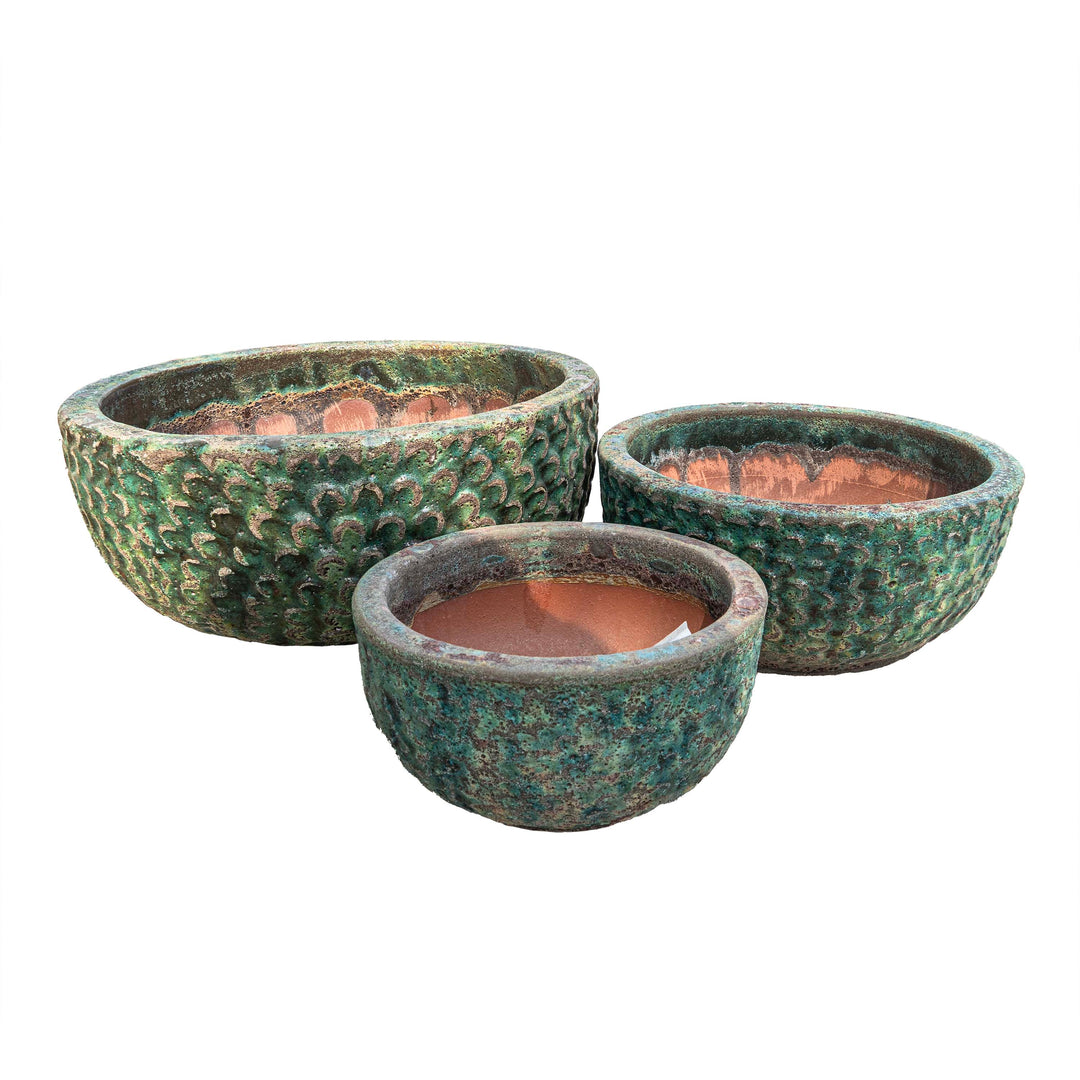 Cultus Pot