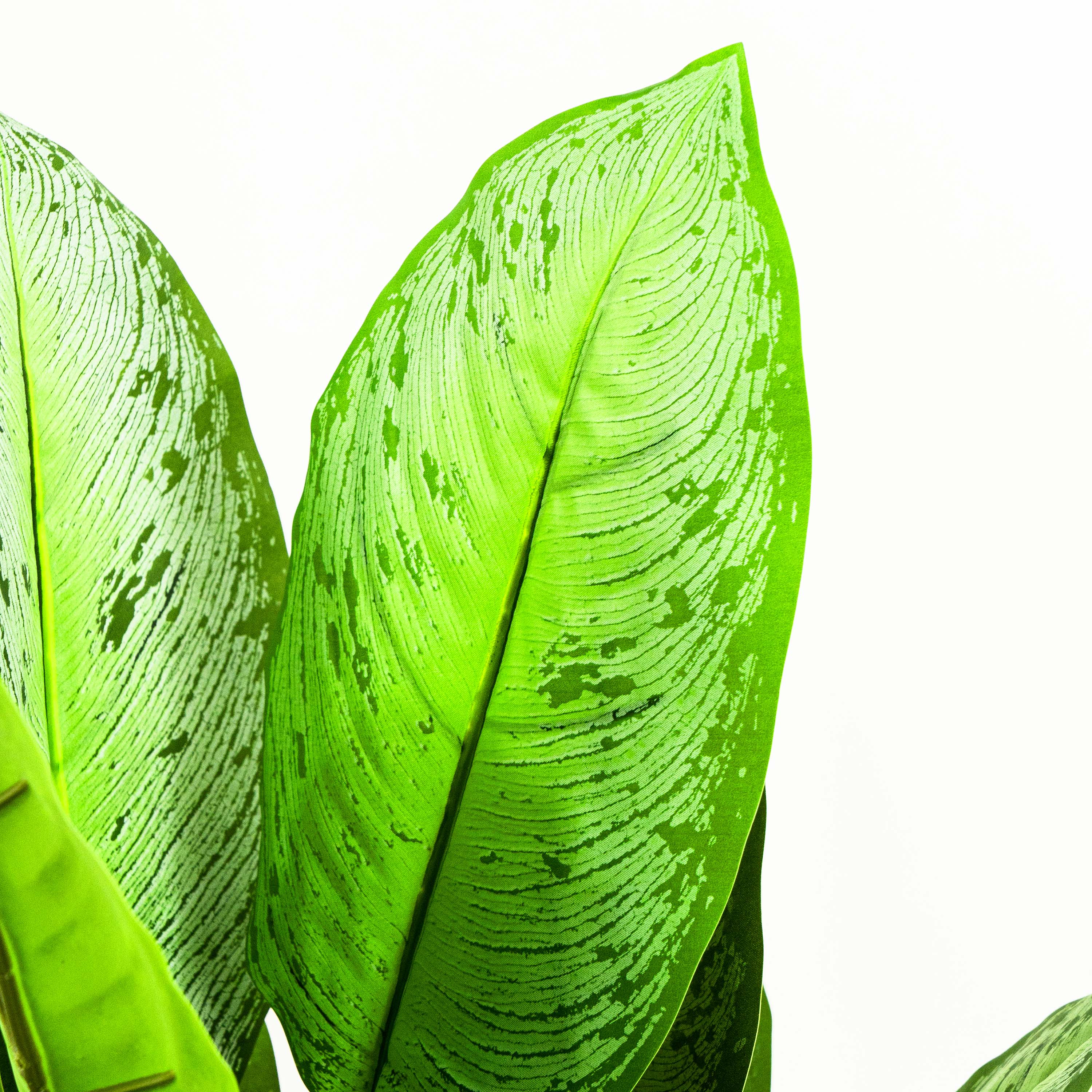 Faux Dieffenbachia Tree With Pot - 3 Feet