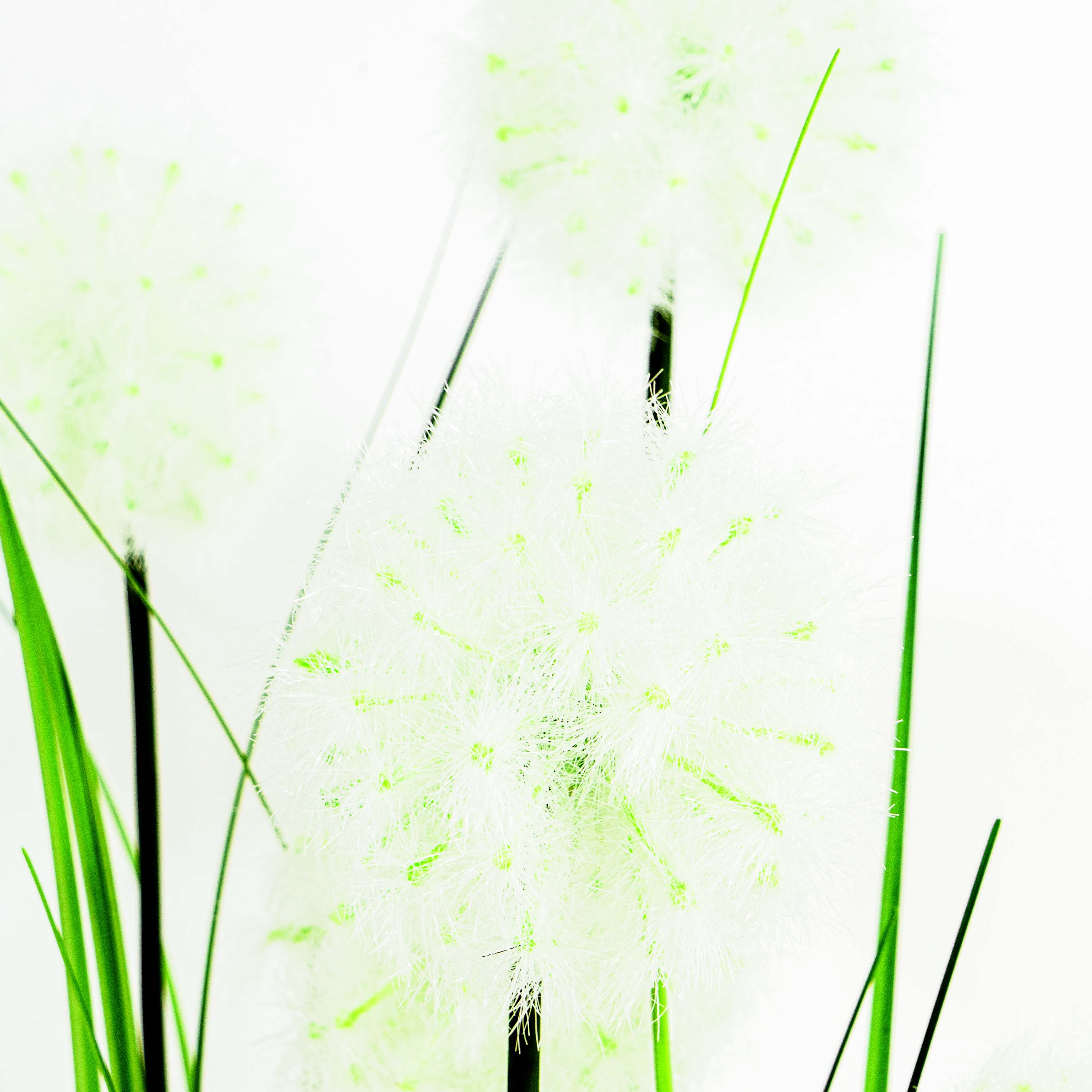 Faux Dandelion Grass With Pot - 5 Feet