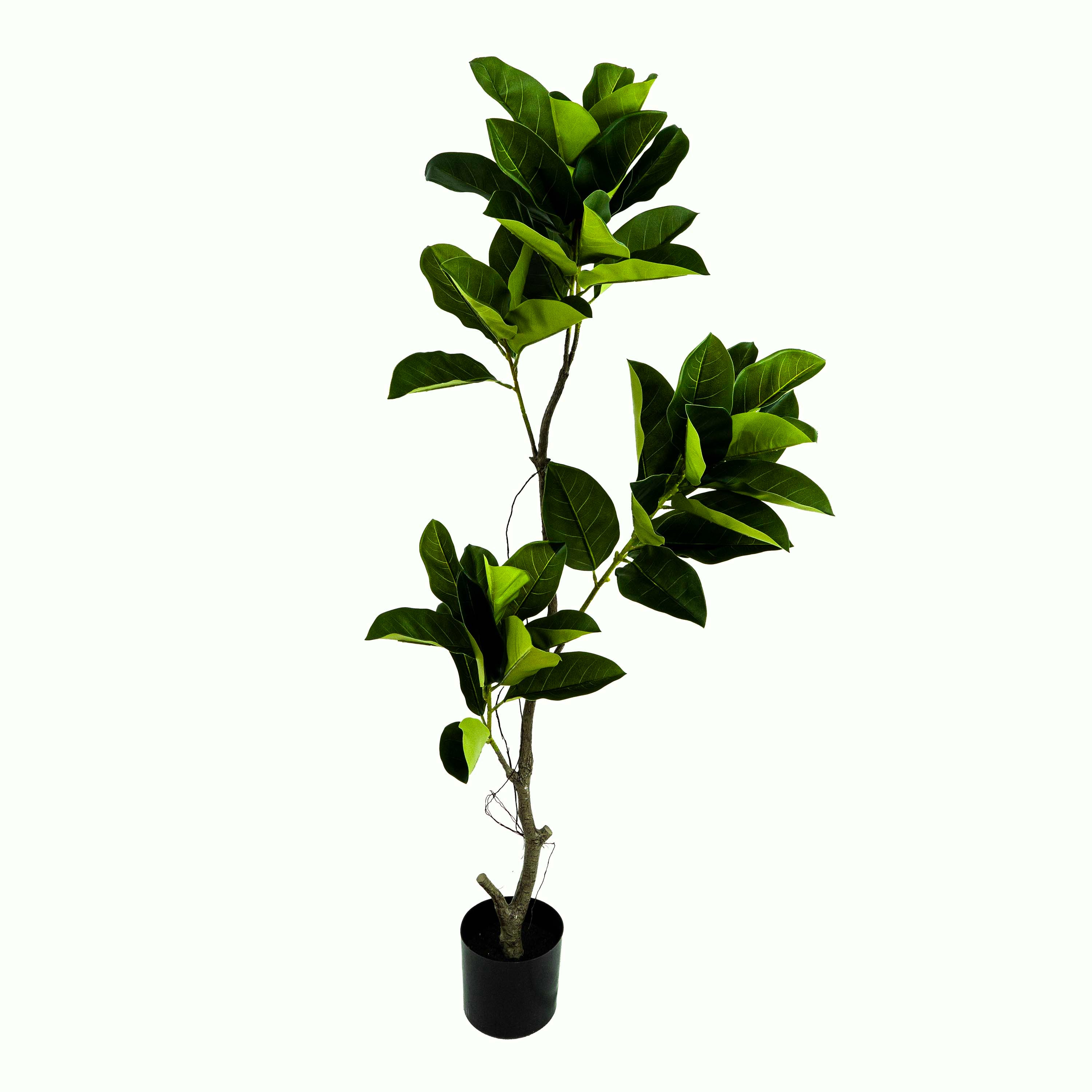 Faux Ficus Tree With Pot - 5 Feet