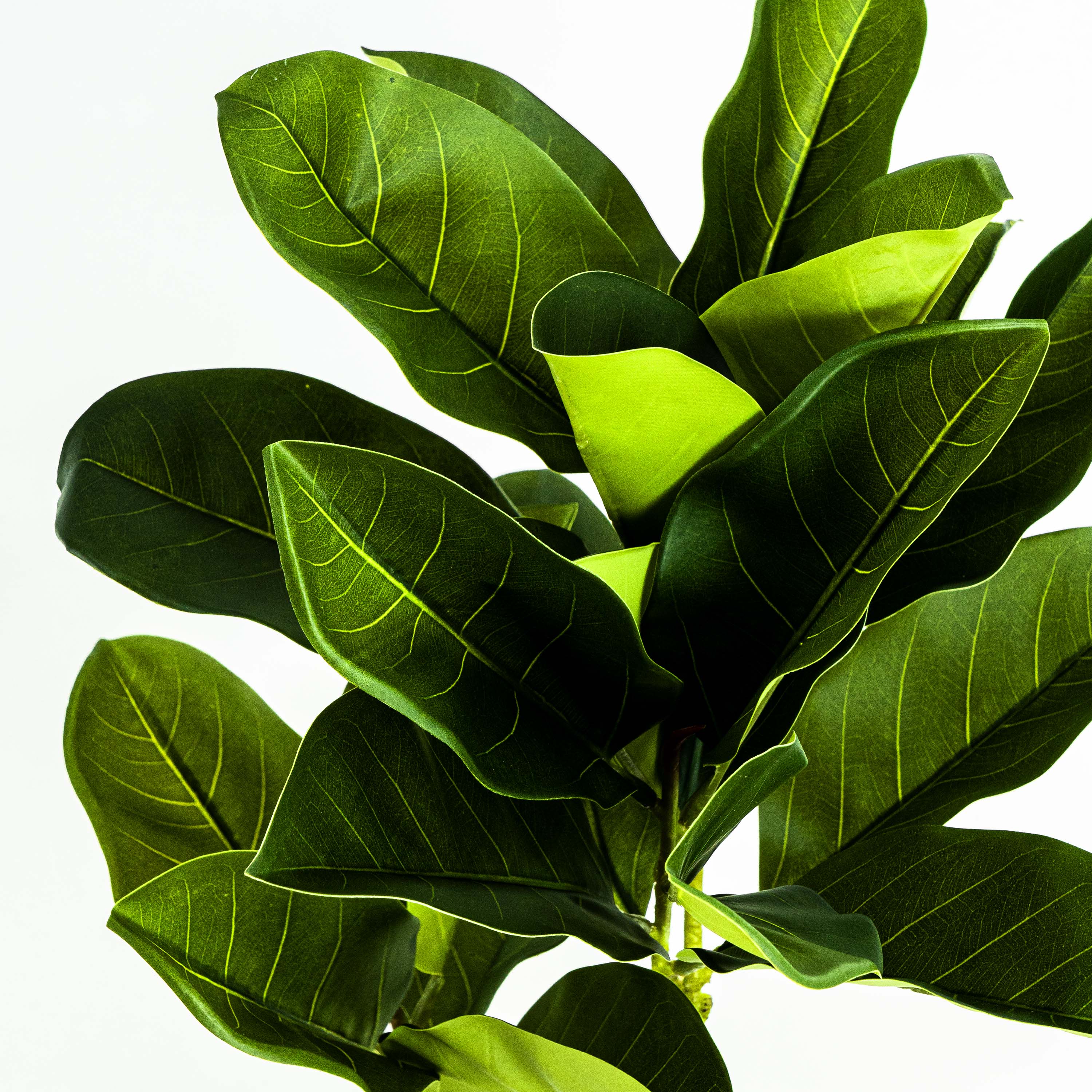 Faux Ficus Tree With Pot - 5 Feet