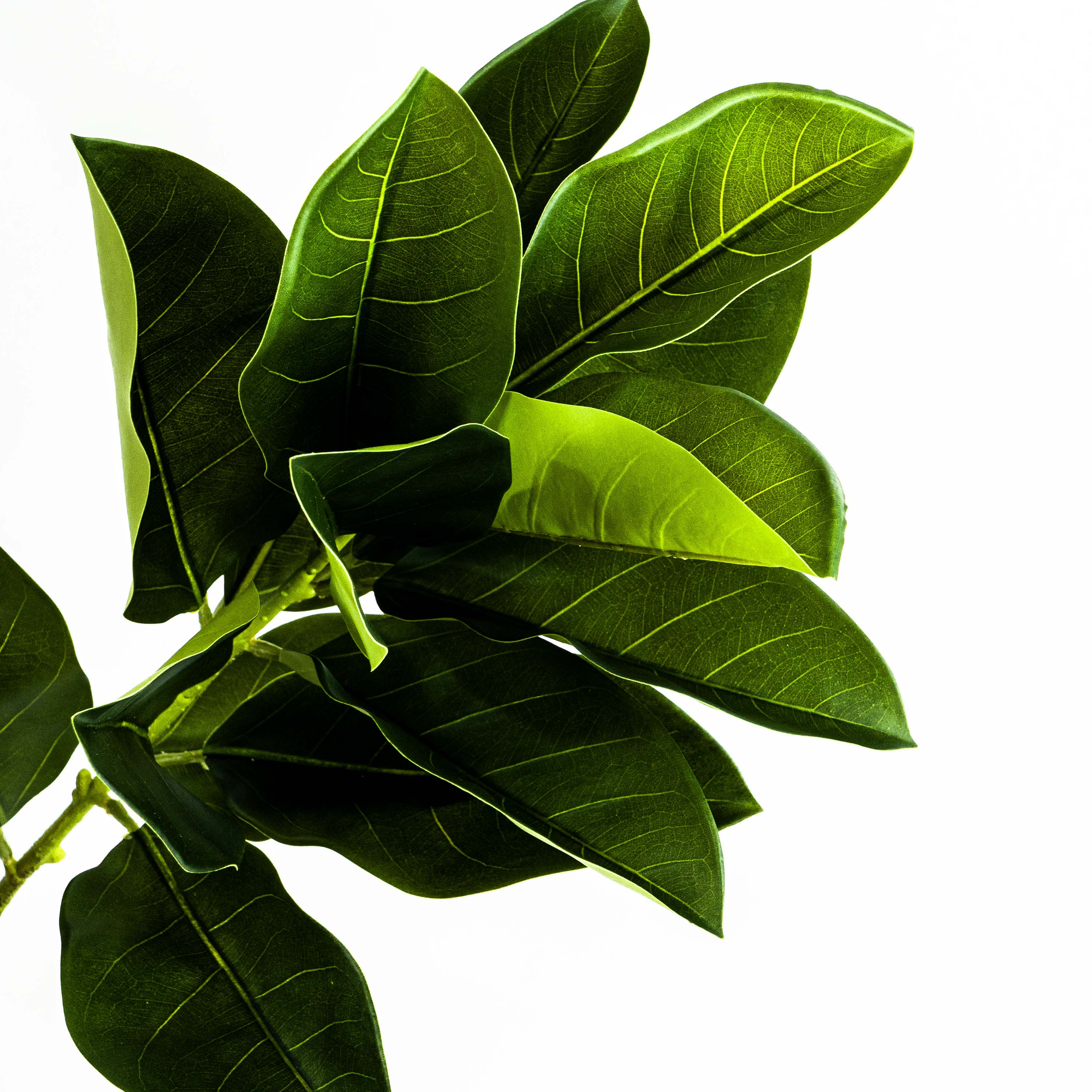Faux Ficus Tree With Pot - 5 Feet