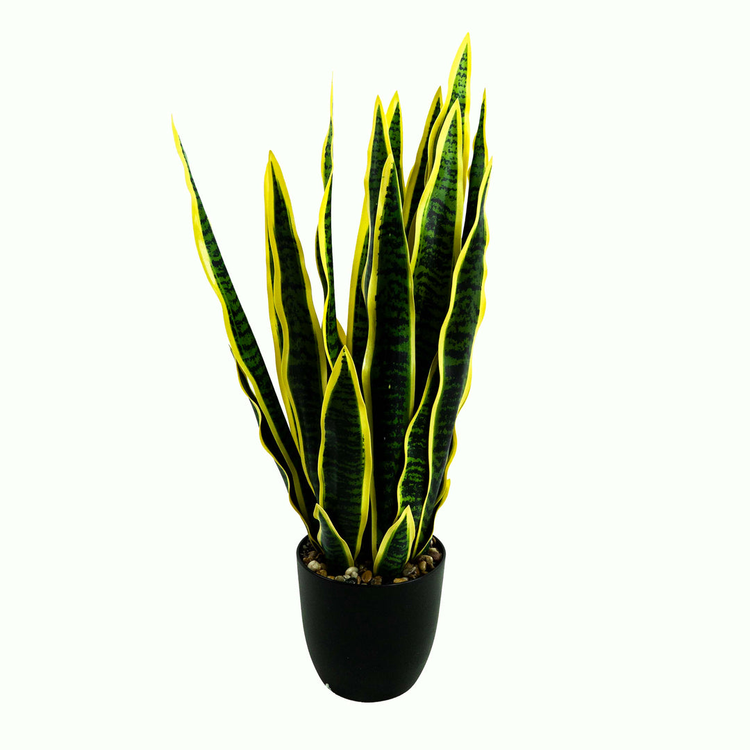 Faux Snake Plant With Pot