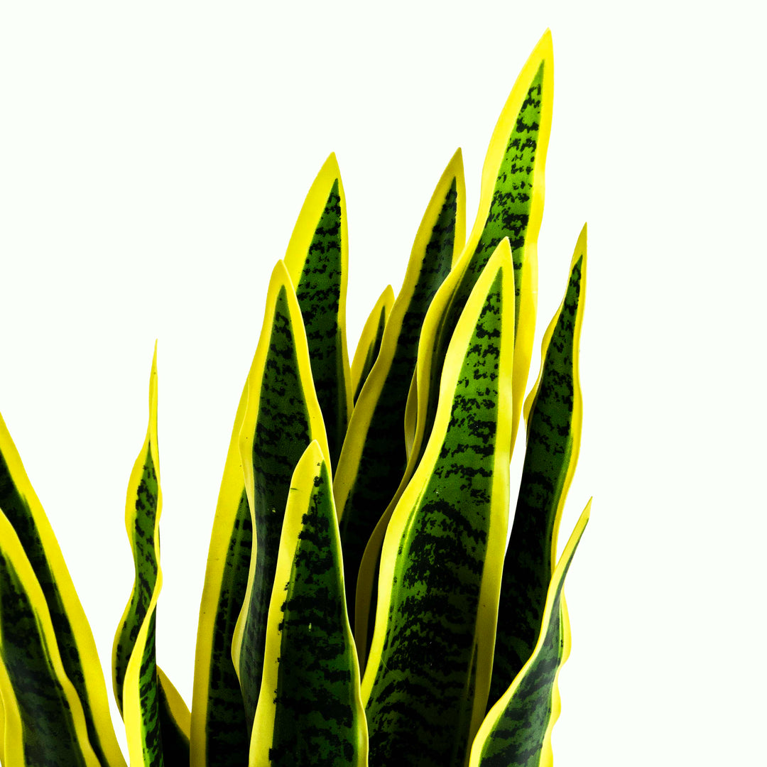 Faux Snake Plant With Pot