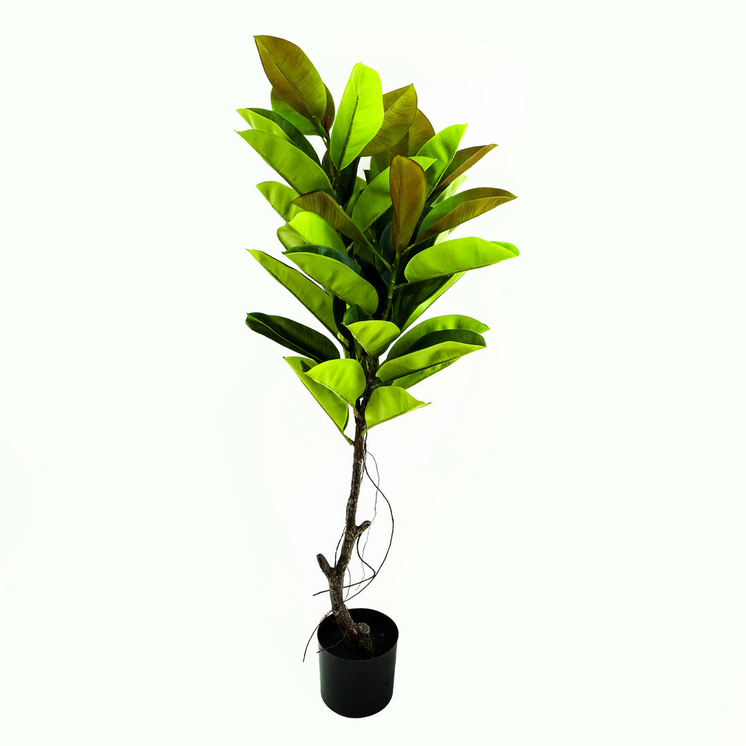 Faux Rubber Tree With Pot - 4.5 Feet
