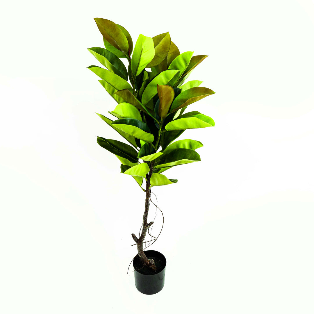 Faux Rubber Tree With Pot - 4.5 Feet