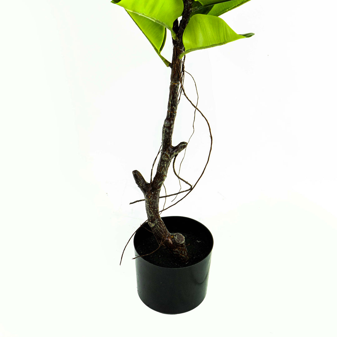 Faux Rubber Tree With Pot - 4.5 Feet