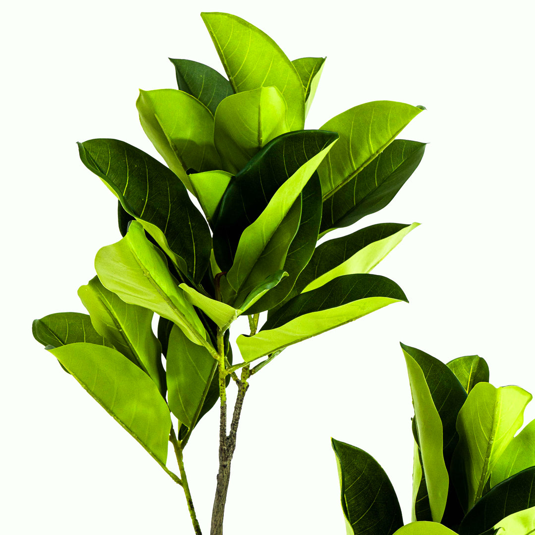 Faux Ficus Tree With Pot - 5.5 Feet