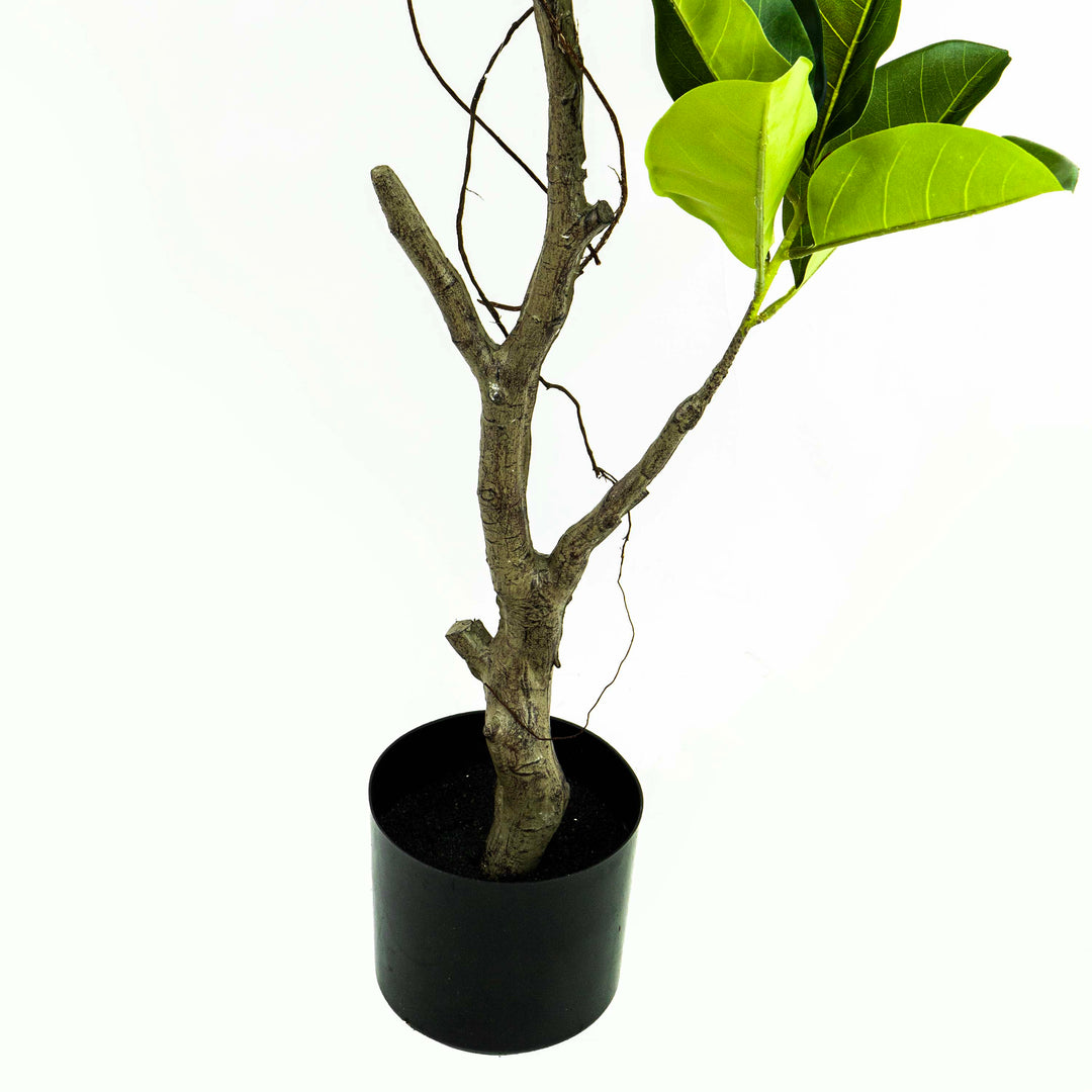 Faux Ficus Tree With Pot - 5.5 Feet