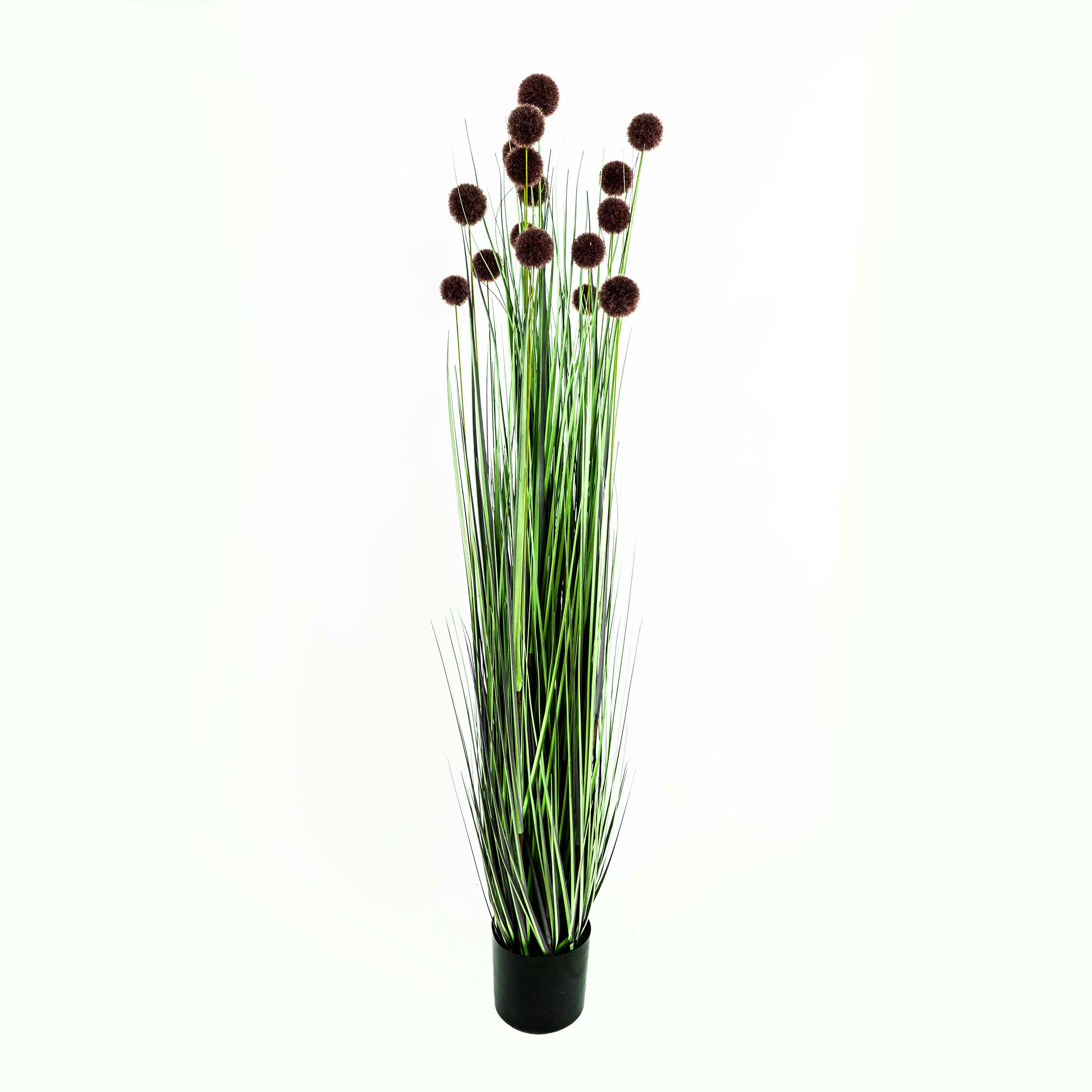 Faux Pompon Grass With Pot - 5 Feet