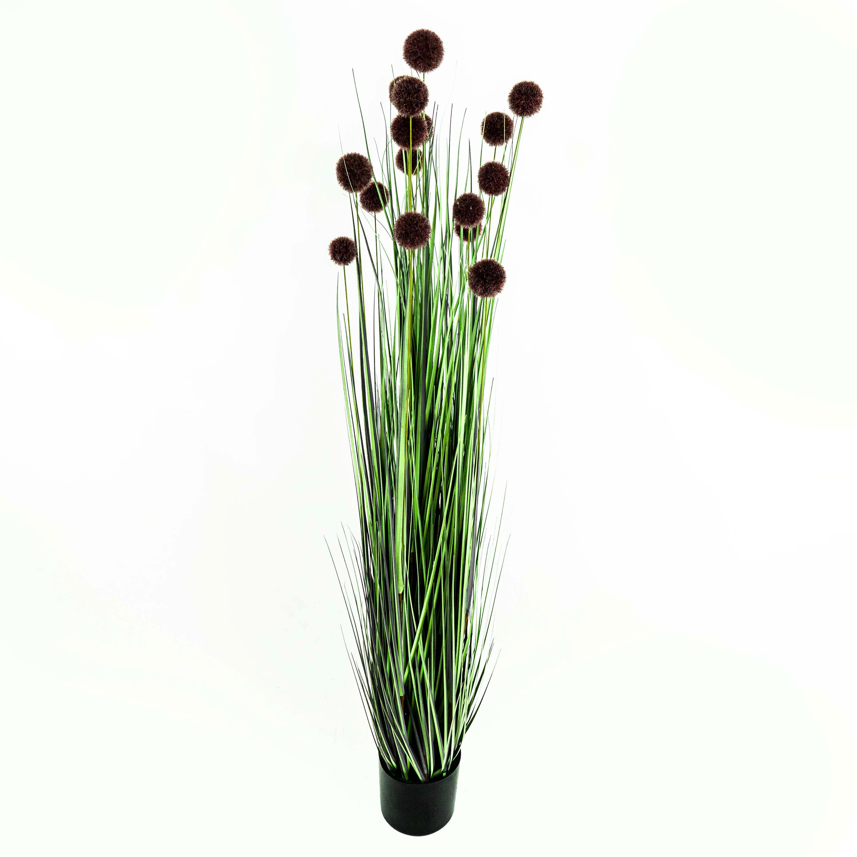 Faux Pompon Grass With Pot - 5 Feet