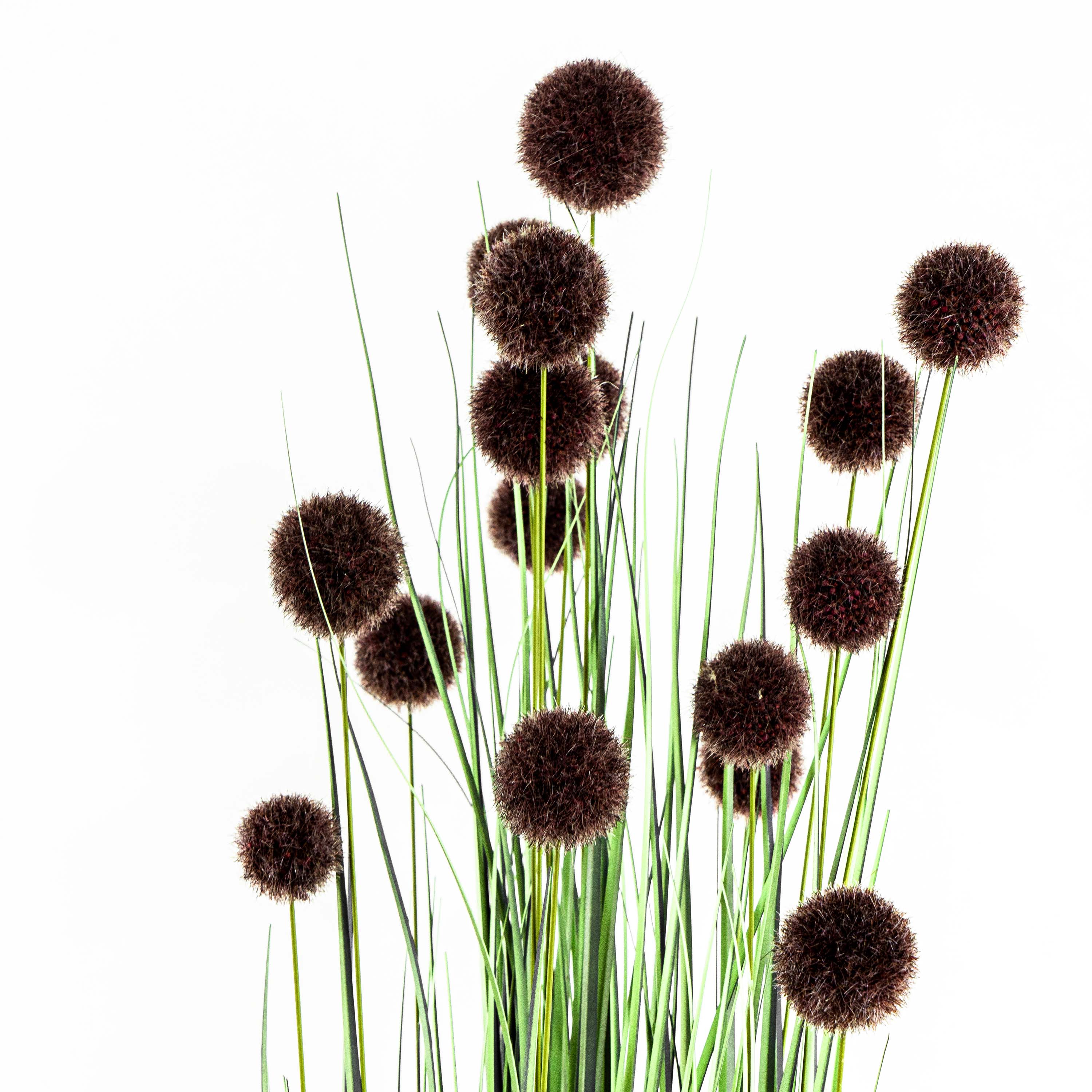 Faux Pompon Grass With Pot - 5 Feet