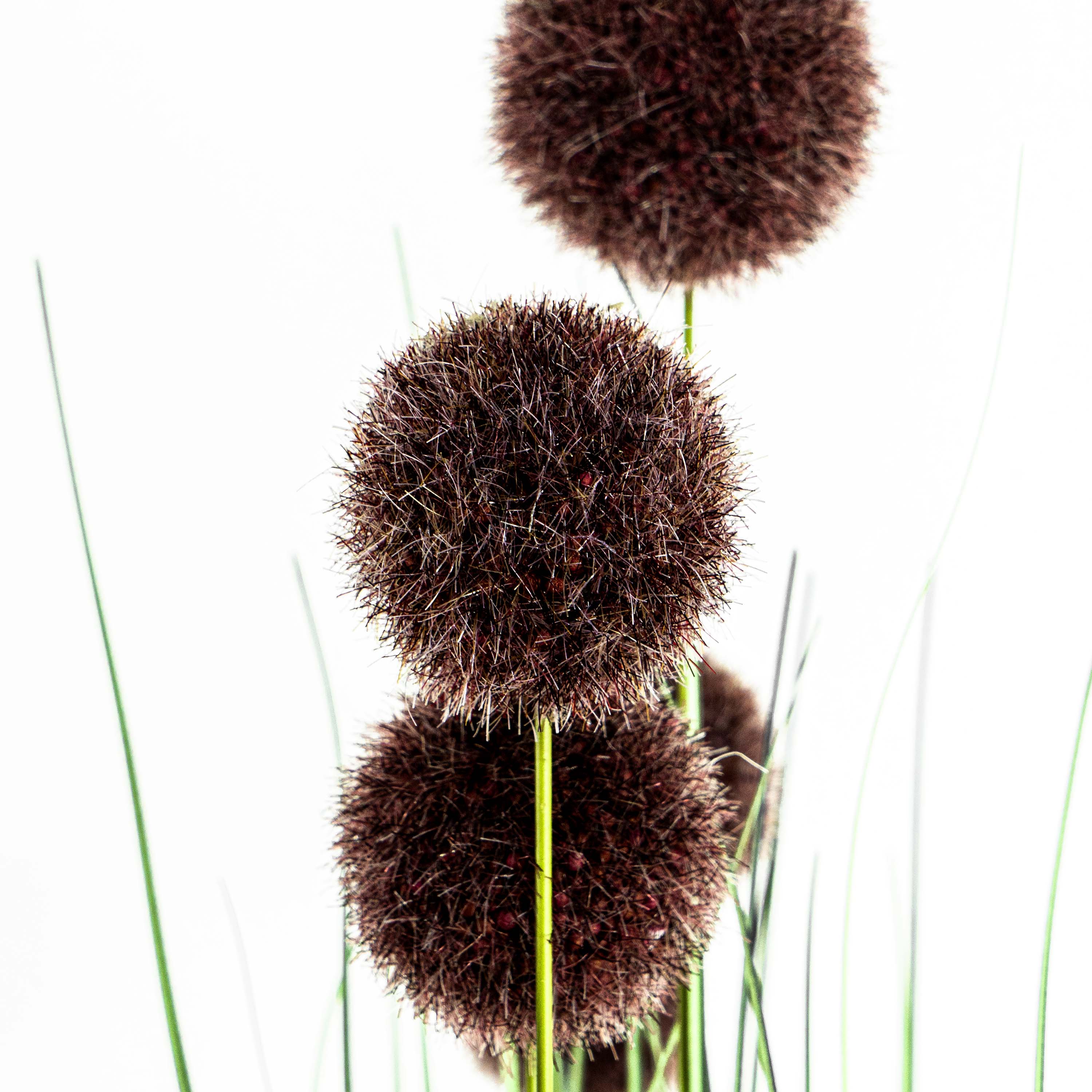 Faux Pompon Grass With Pot - 5 Feet