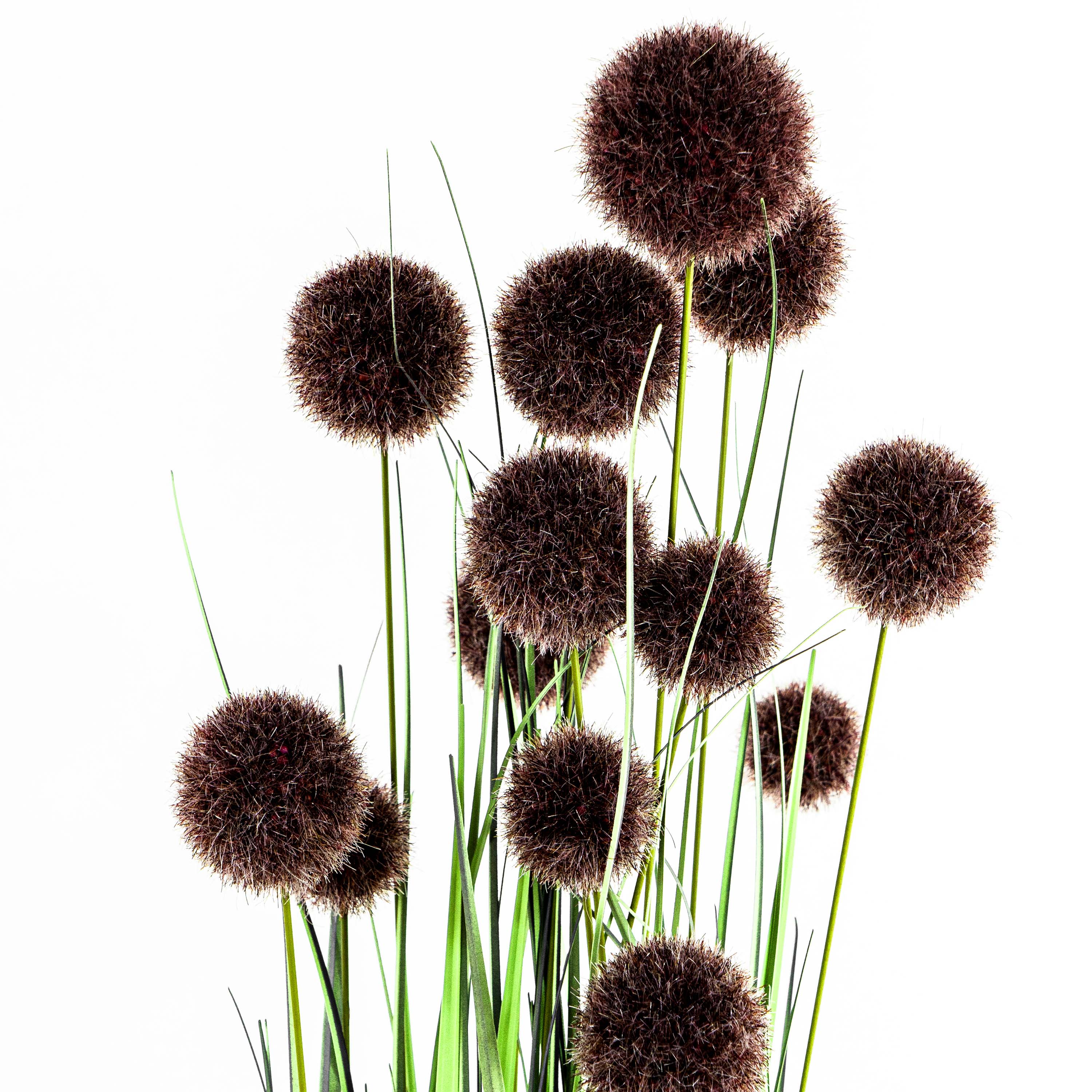Faux Pompon Grass With Pot - 4 Feet