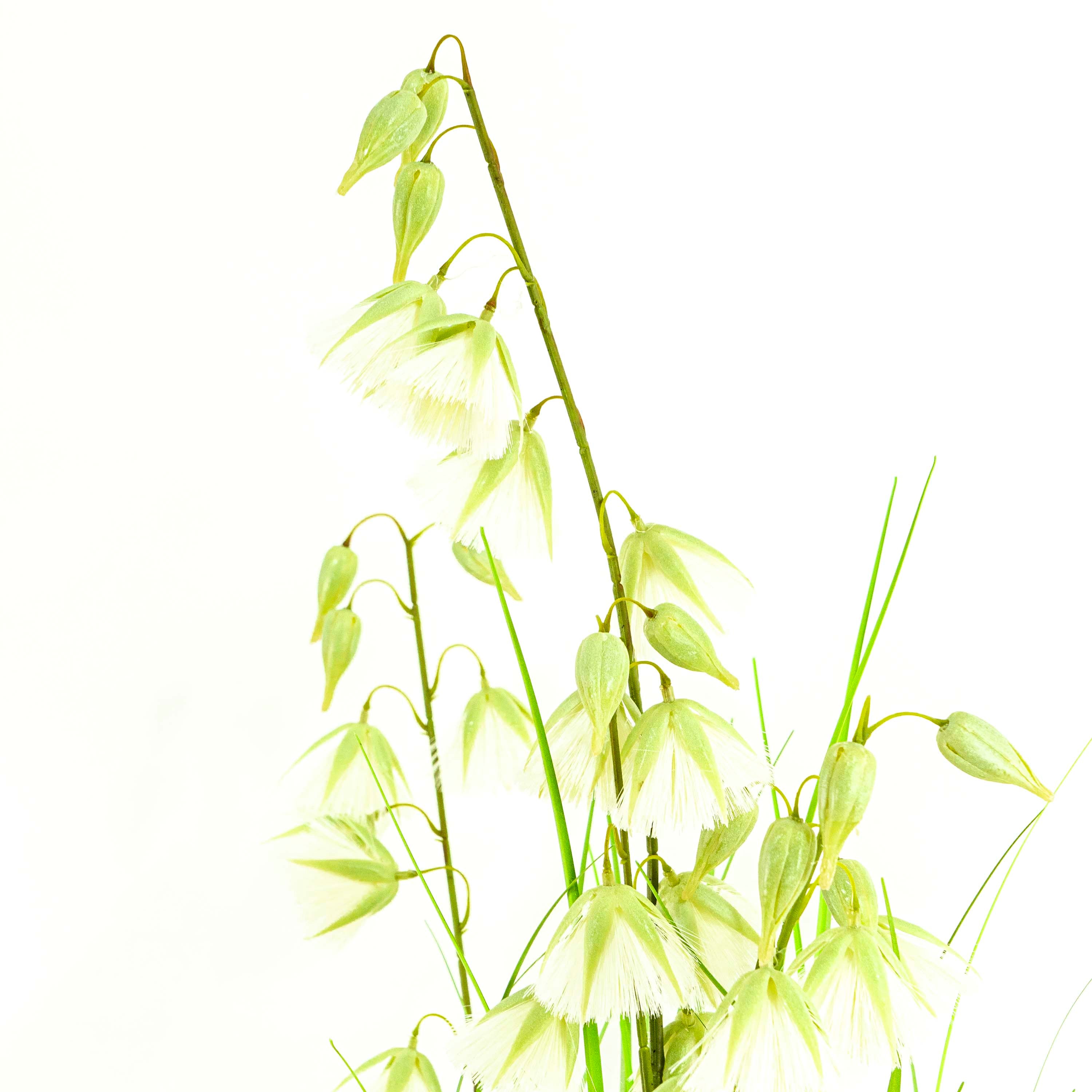 Faux Princess Flower Grass With Pot - 5 Feet
