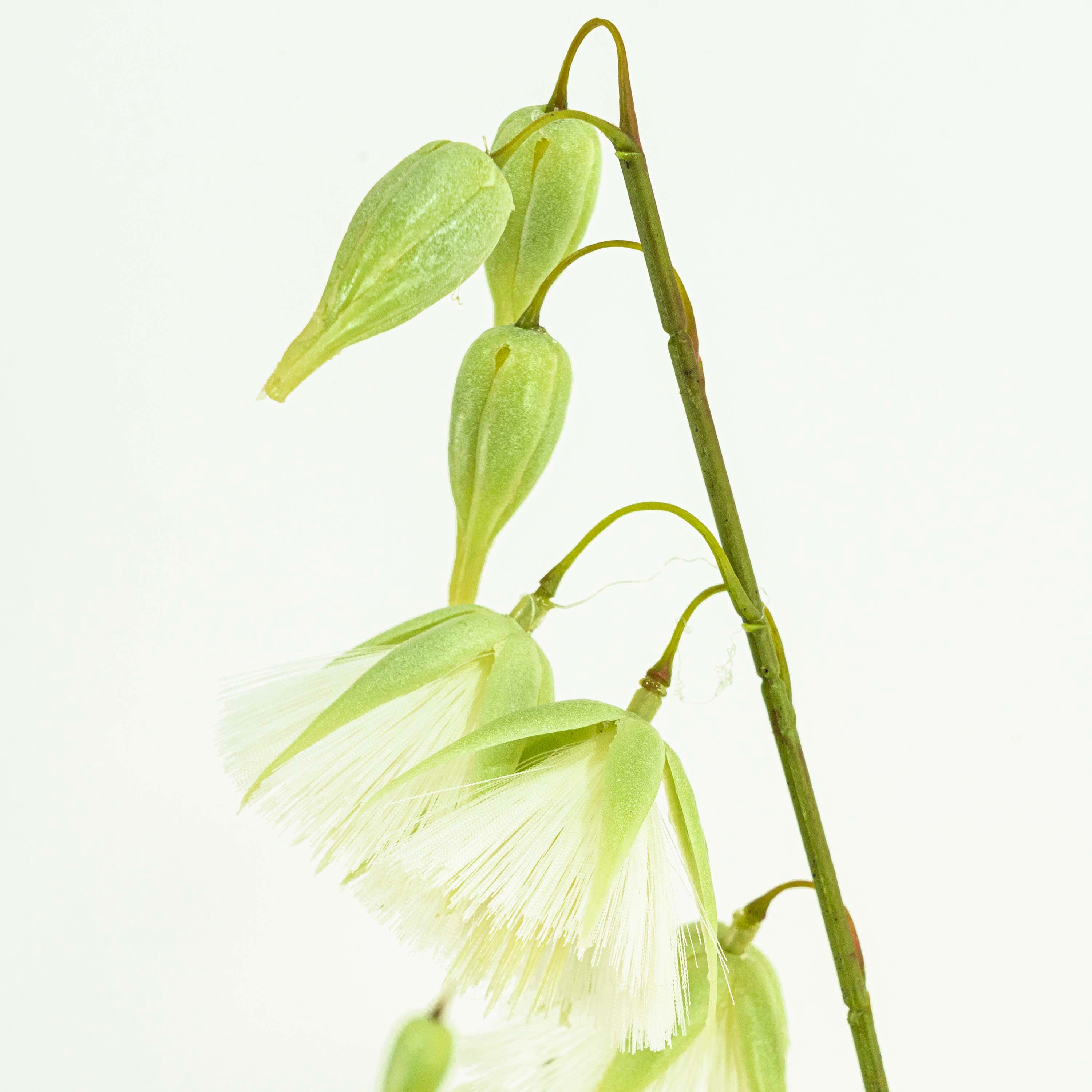 Faux Princess Flower Grass With Pot - 5 Feet