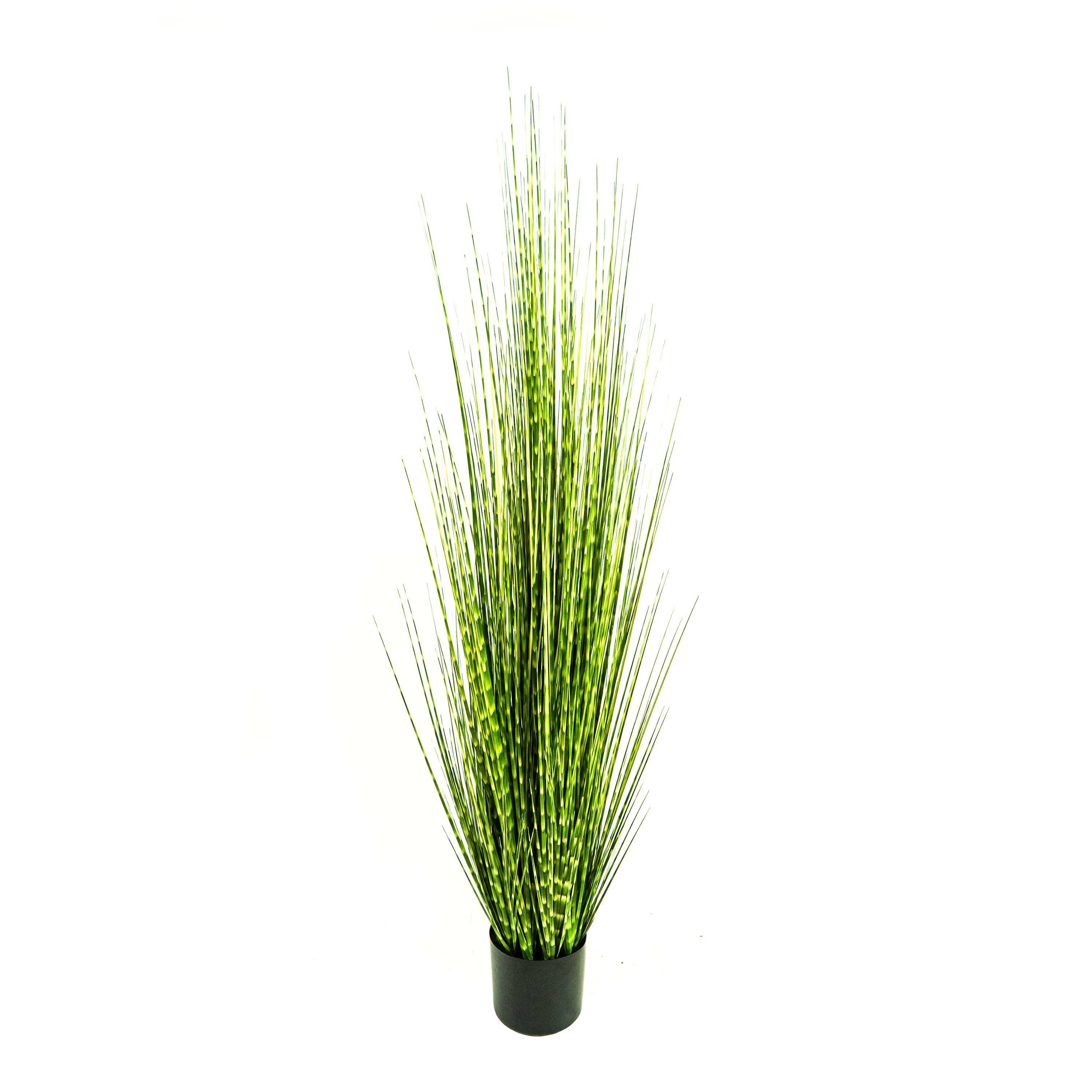 Faux Zebra Grass With Pot - 5 Feet
