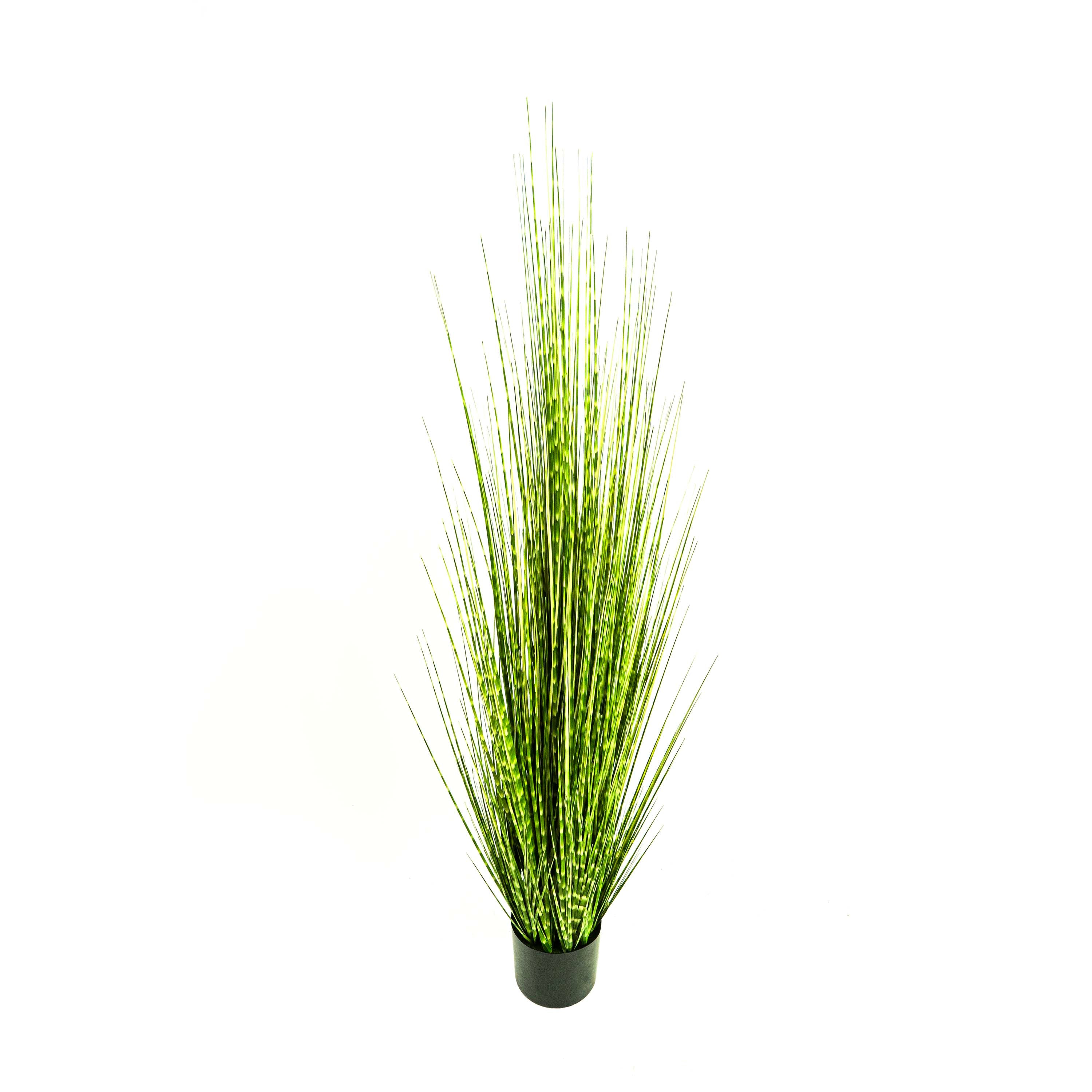 Faux Zebra Grass With Pot - 5 Feet
