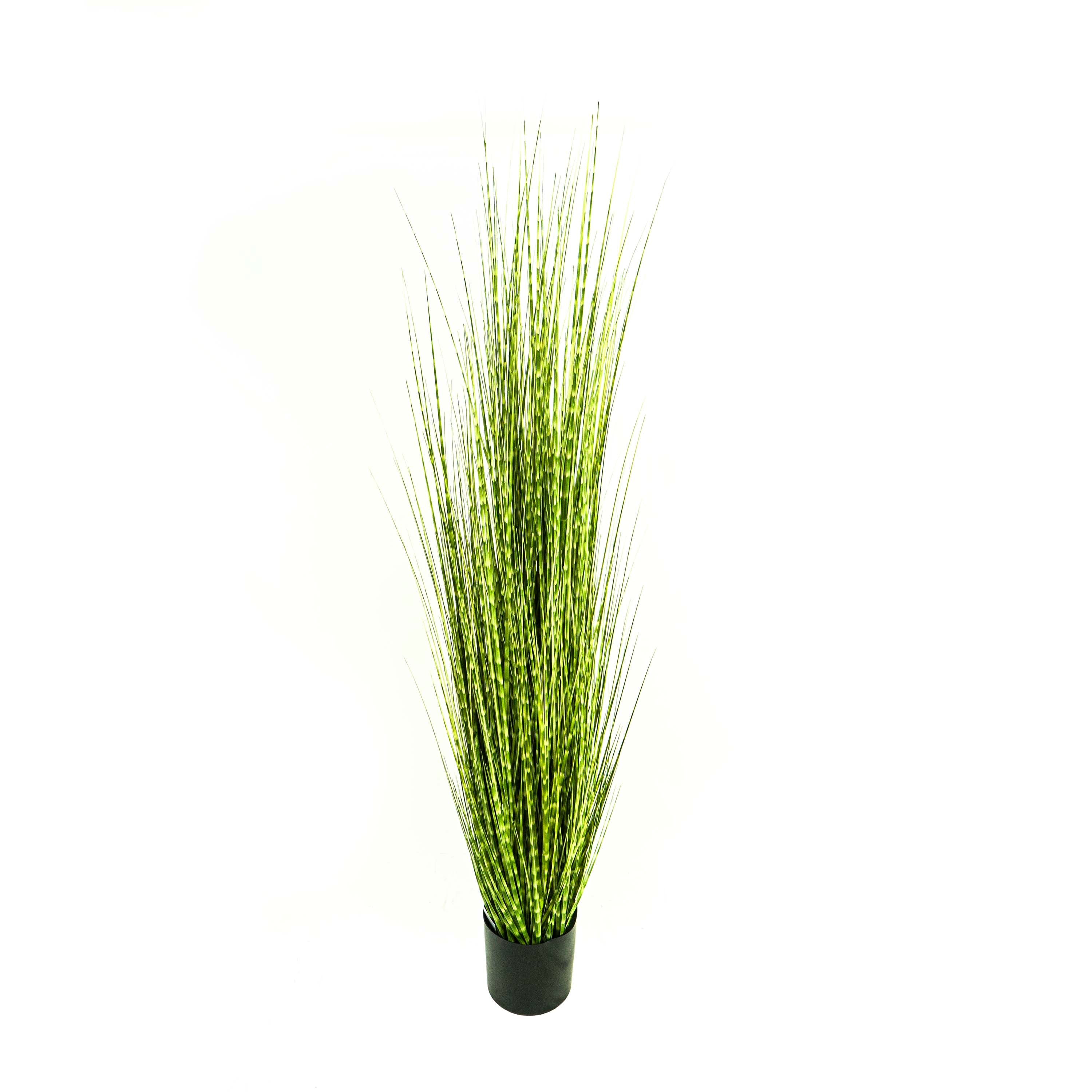 Faux Zebra Grass With Pot - 6 Feet