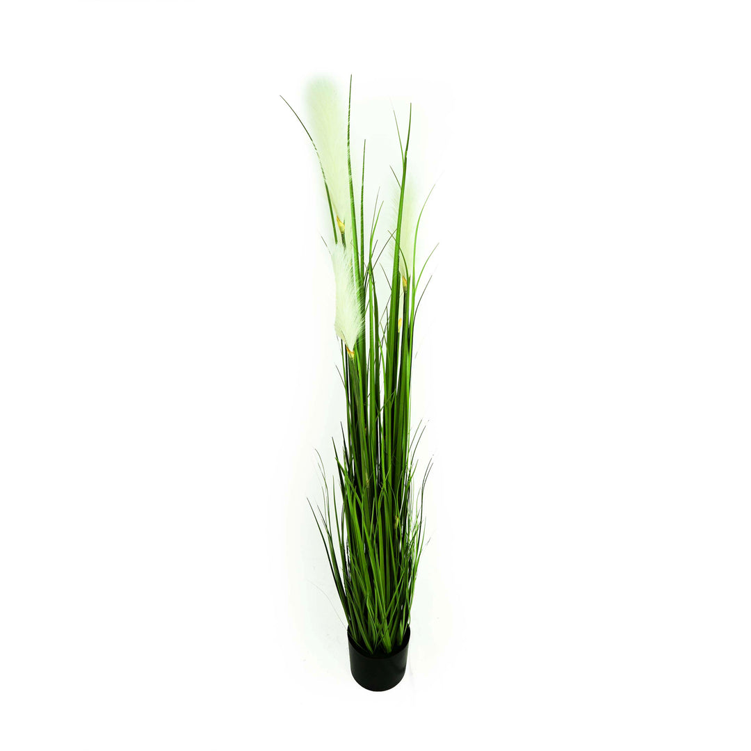 Faux Reed Grass With Pot - 5 Feet