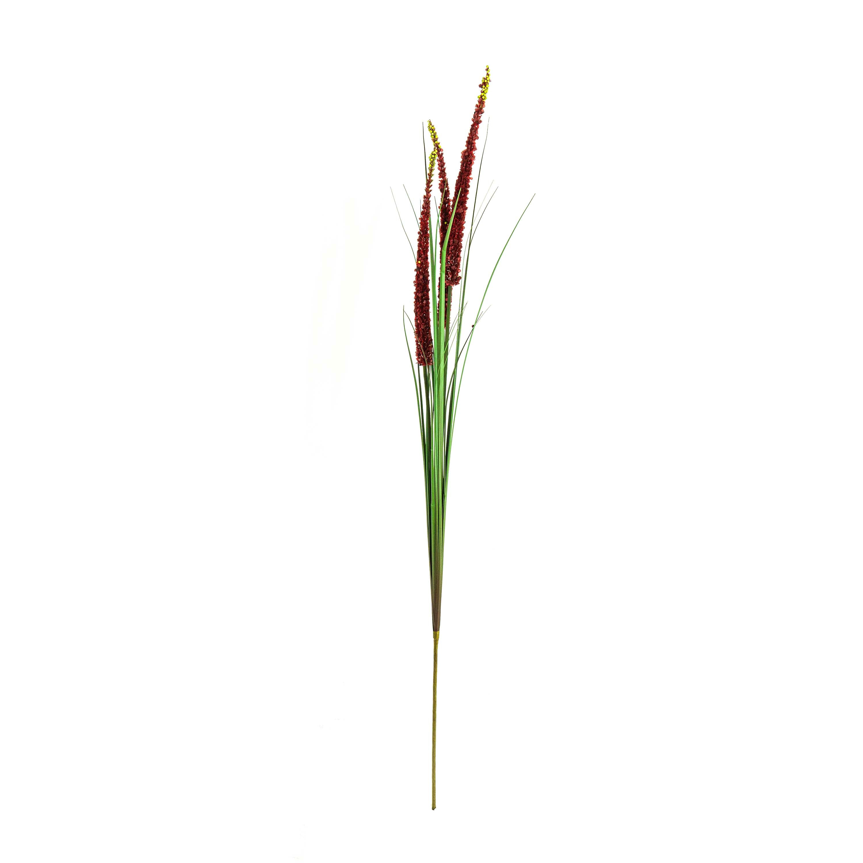 Faux Eremurus Grass Red - 5 Feet