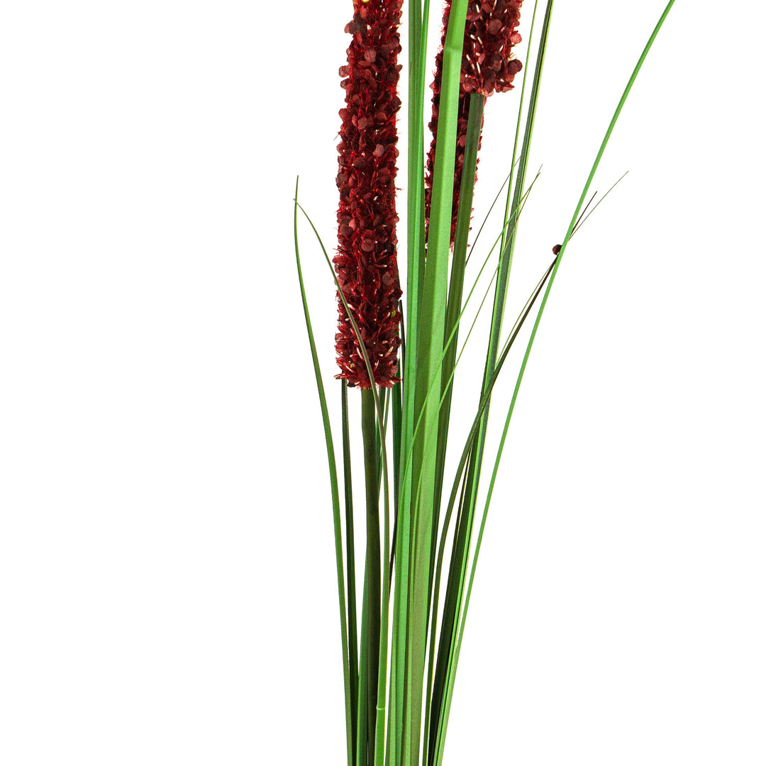 Faux Eremurus Grass Red - 5 Feet