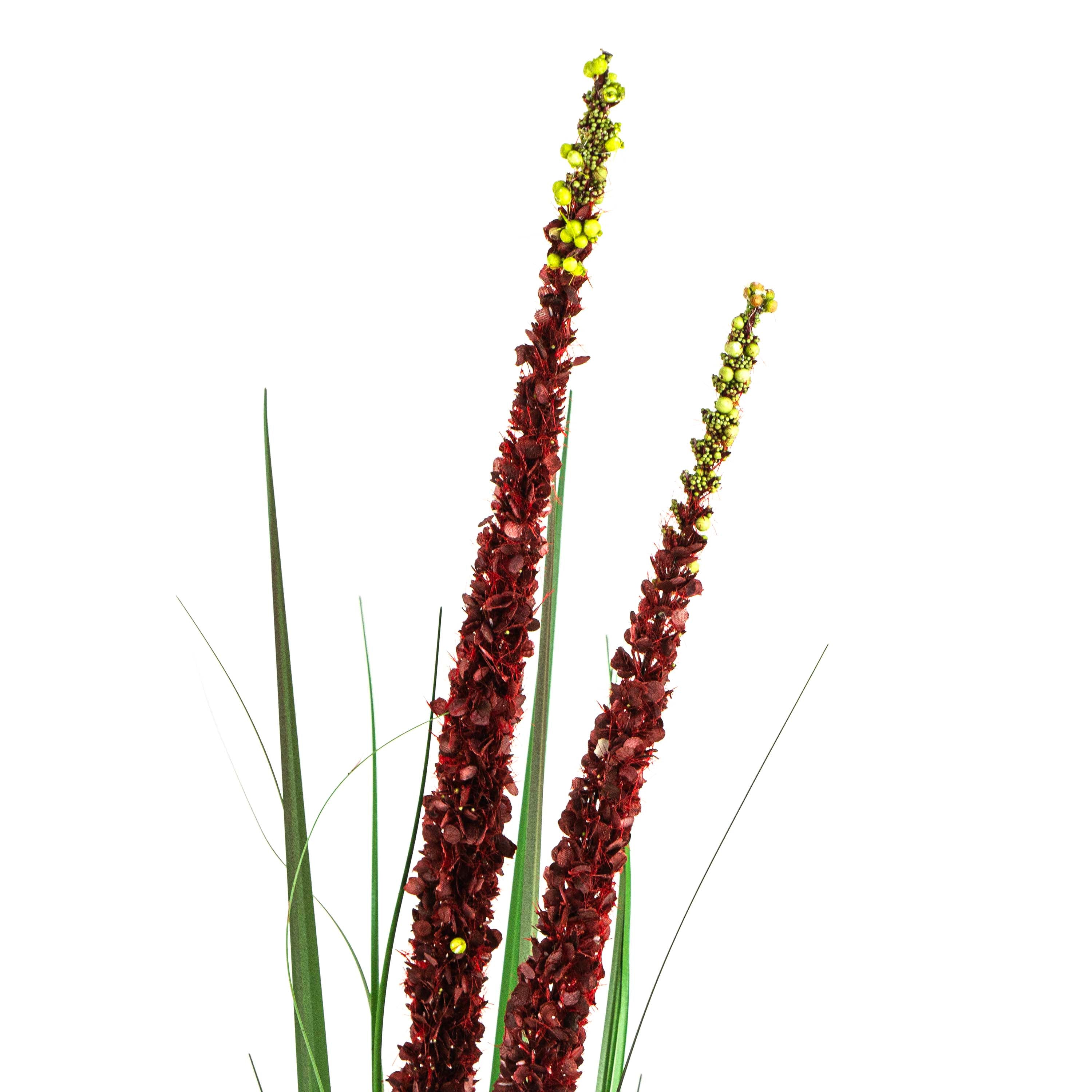 Faux Eremurus Grass Red - 4 Feet