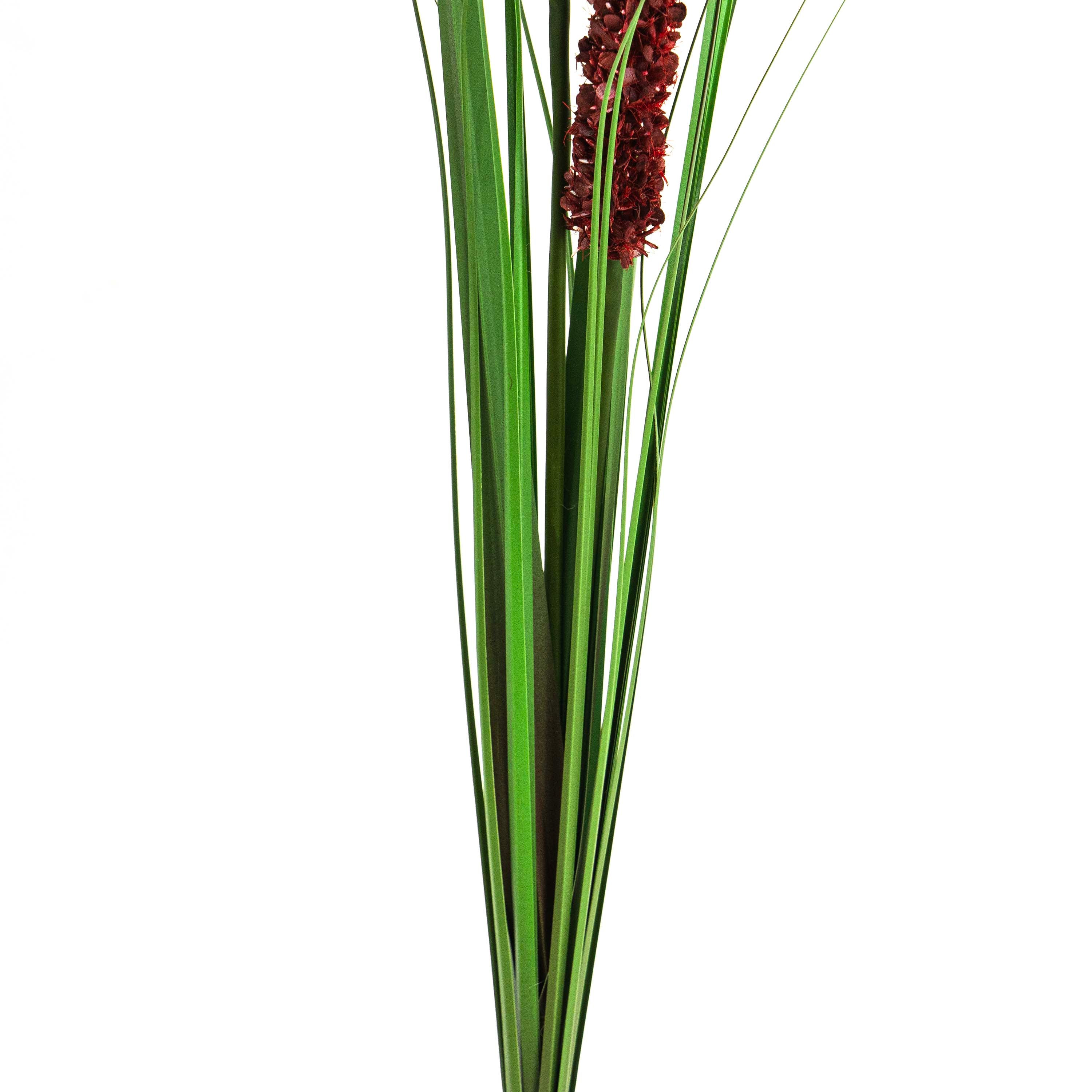 Faux Eremurus Grass Red - 4 Feet