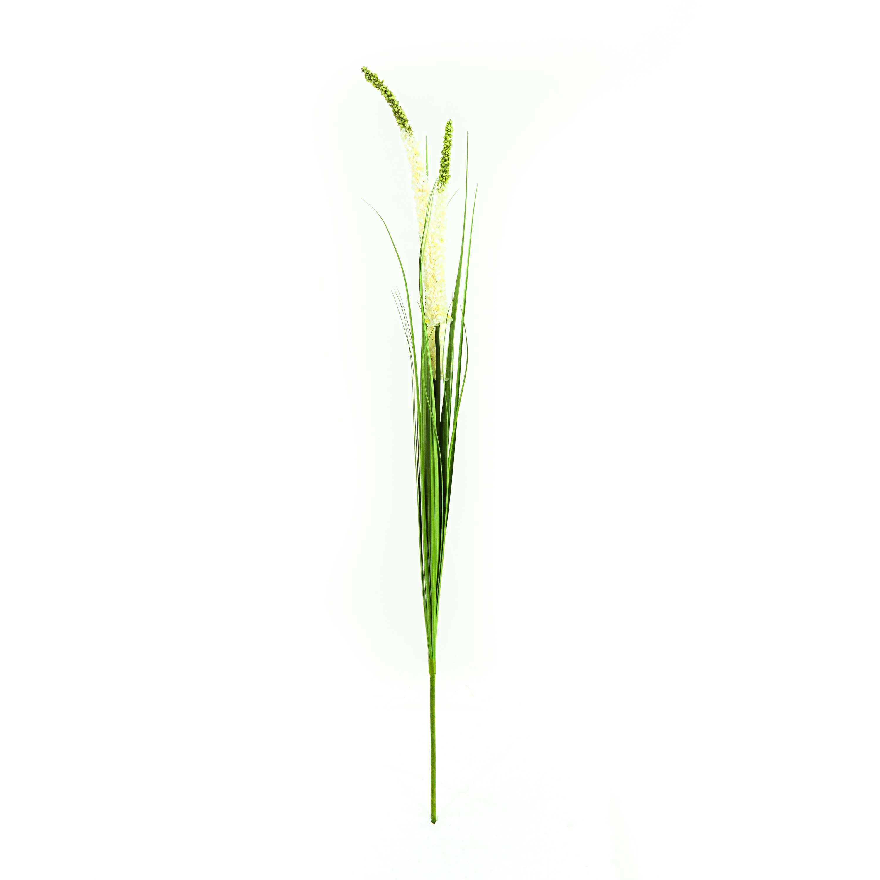 Faux Eremurus Grass - 4 Feet