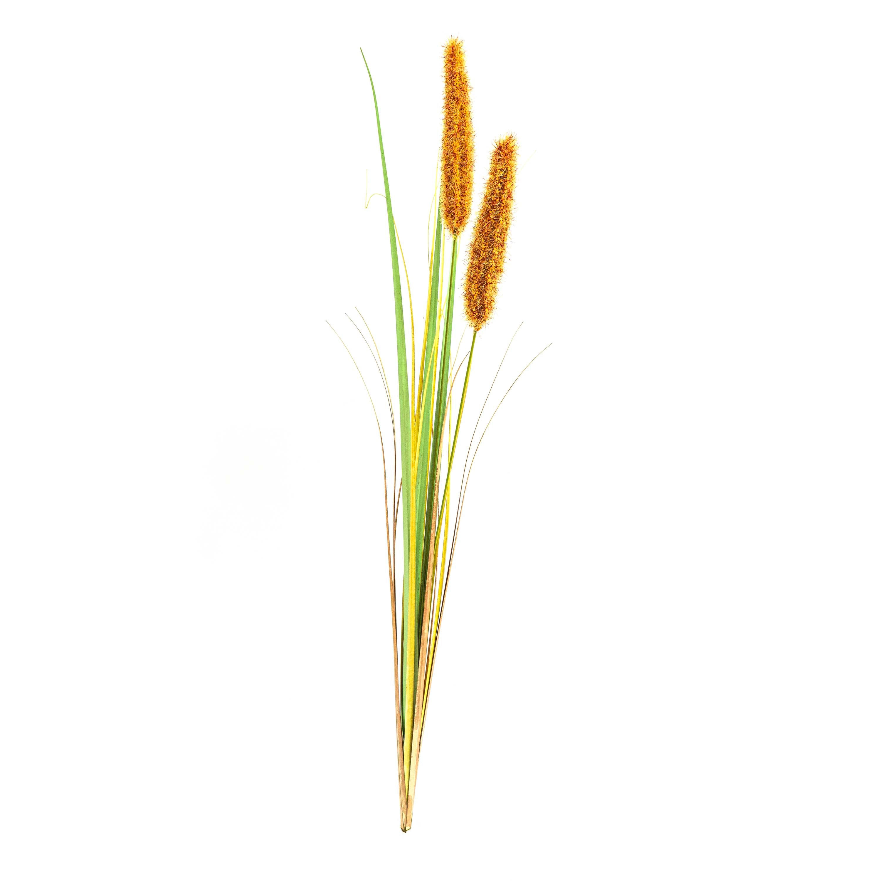 Faux Grain Grass - 3 Feet