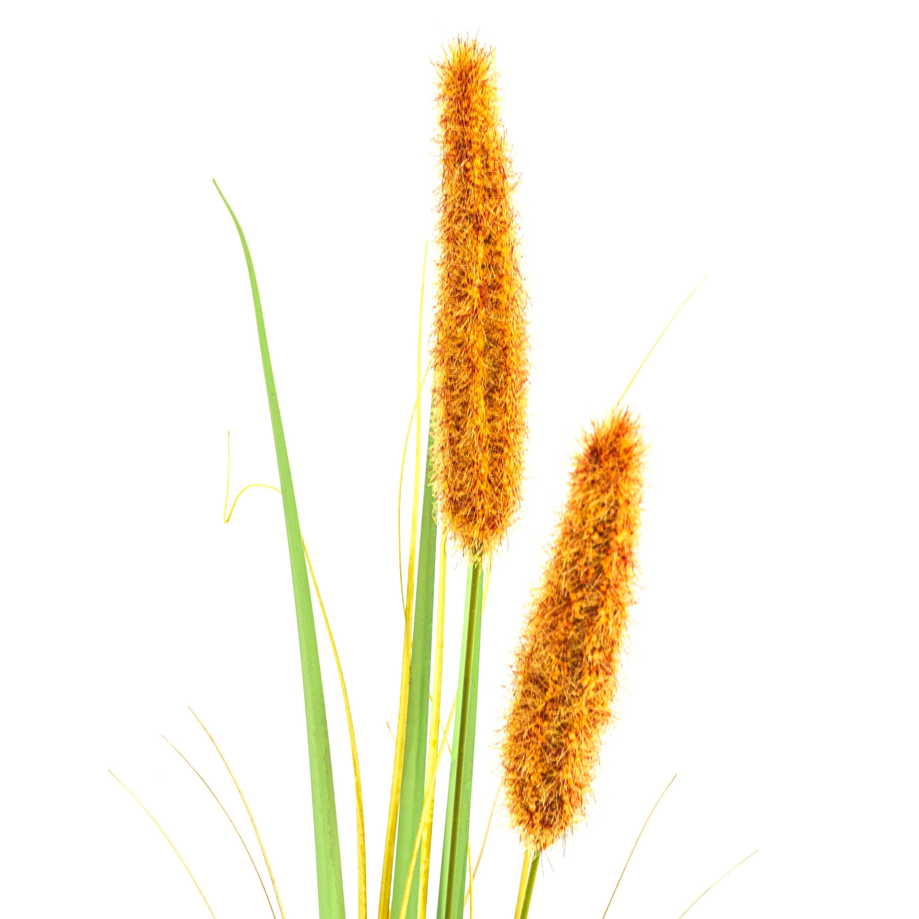Faux Grain Grass - 3 Feet