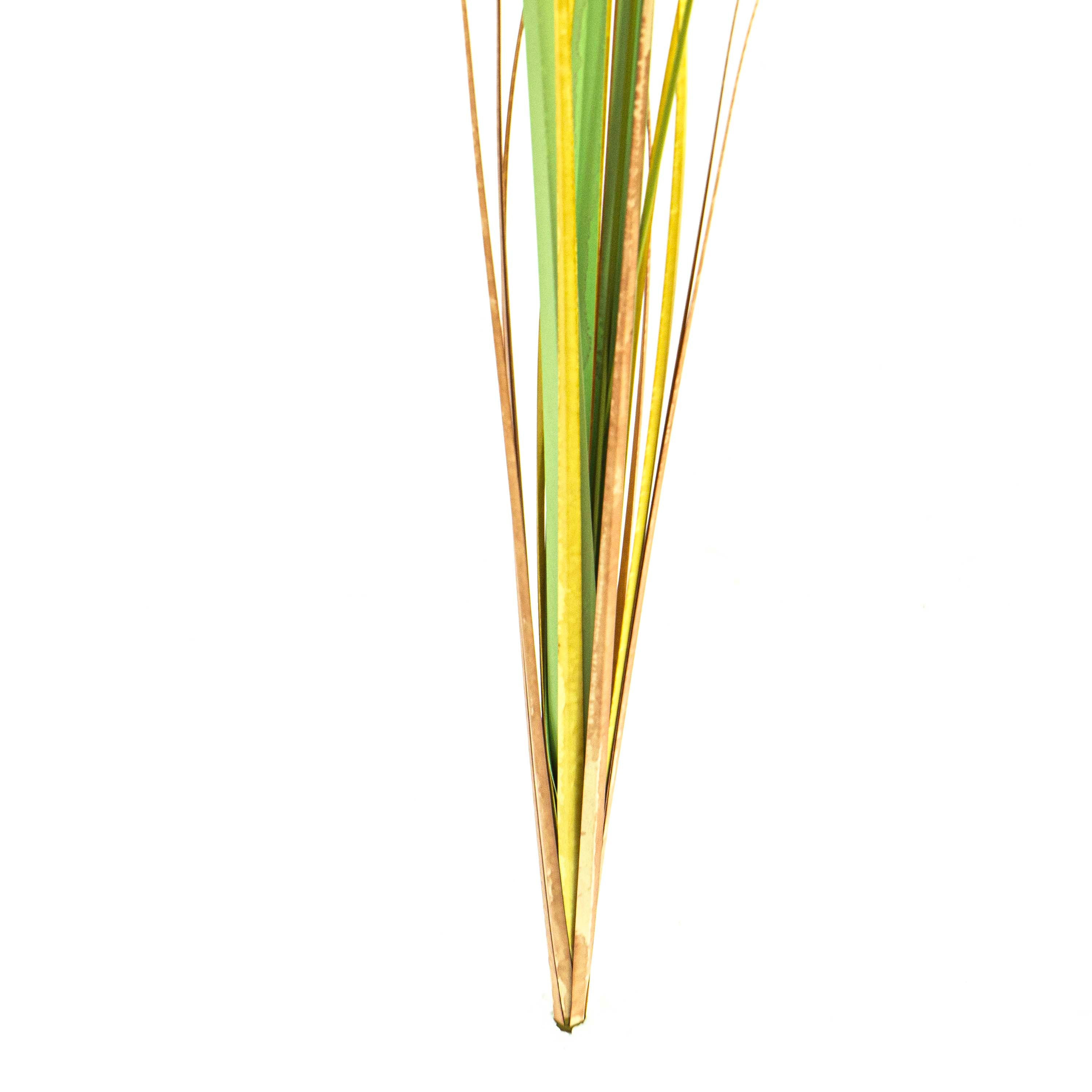 Faux Grain Grass - 3 Feet