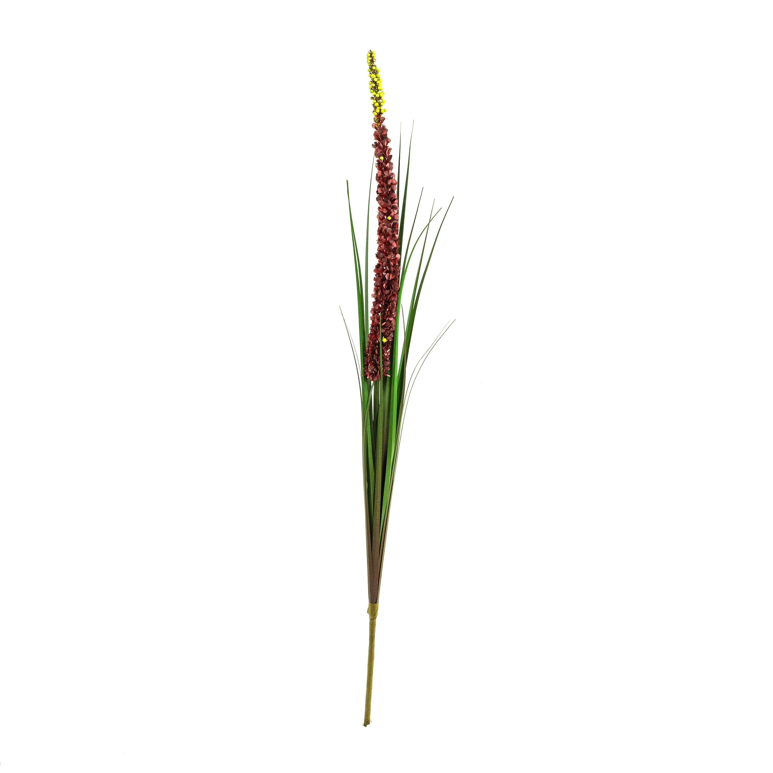 Buy Faux Plants | Faux Eremurus Grass Red - 3 Feet | Shop at Beruru