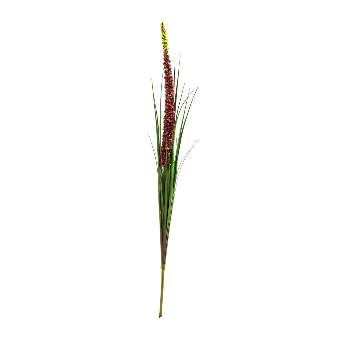 Faux Eremurus Grass Red - 3 Feet