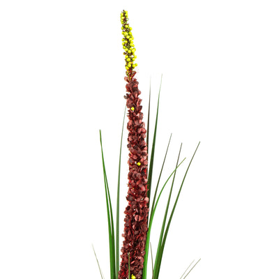 Faux Eremurus Grass Red - 3 Feet