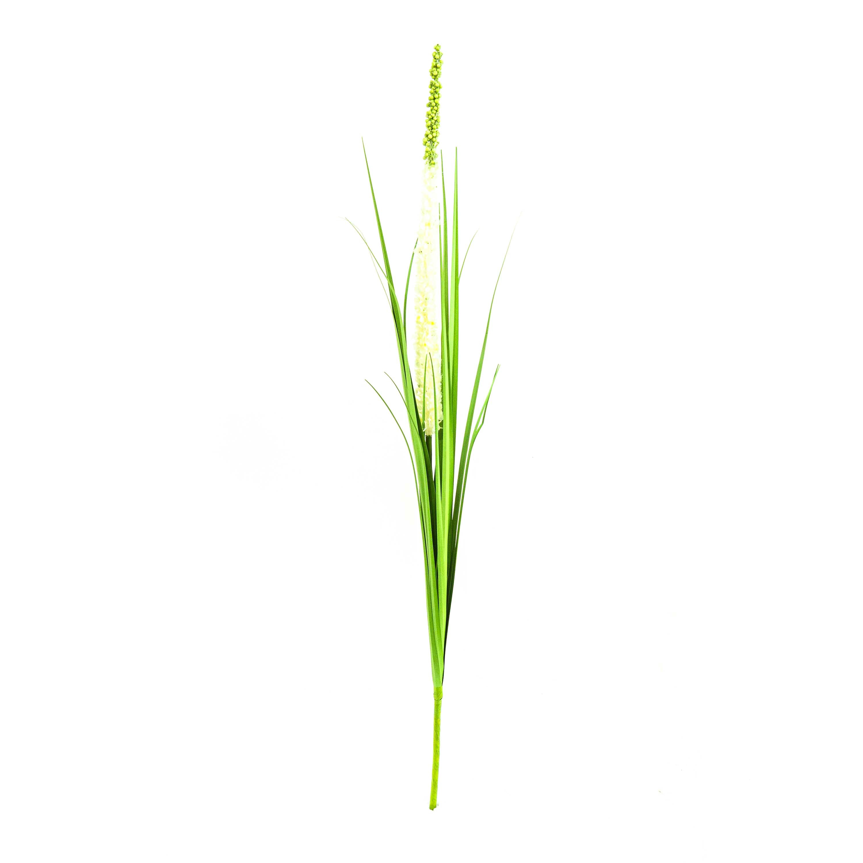 Faux Eremurus Grass - 3 Feet