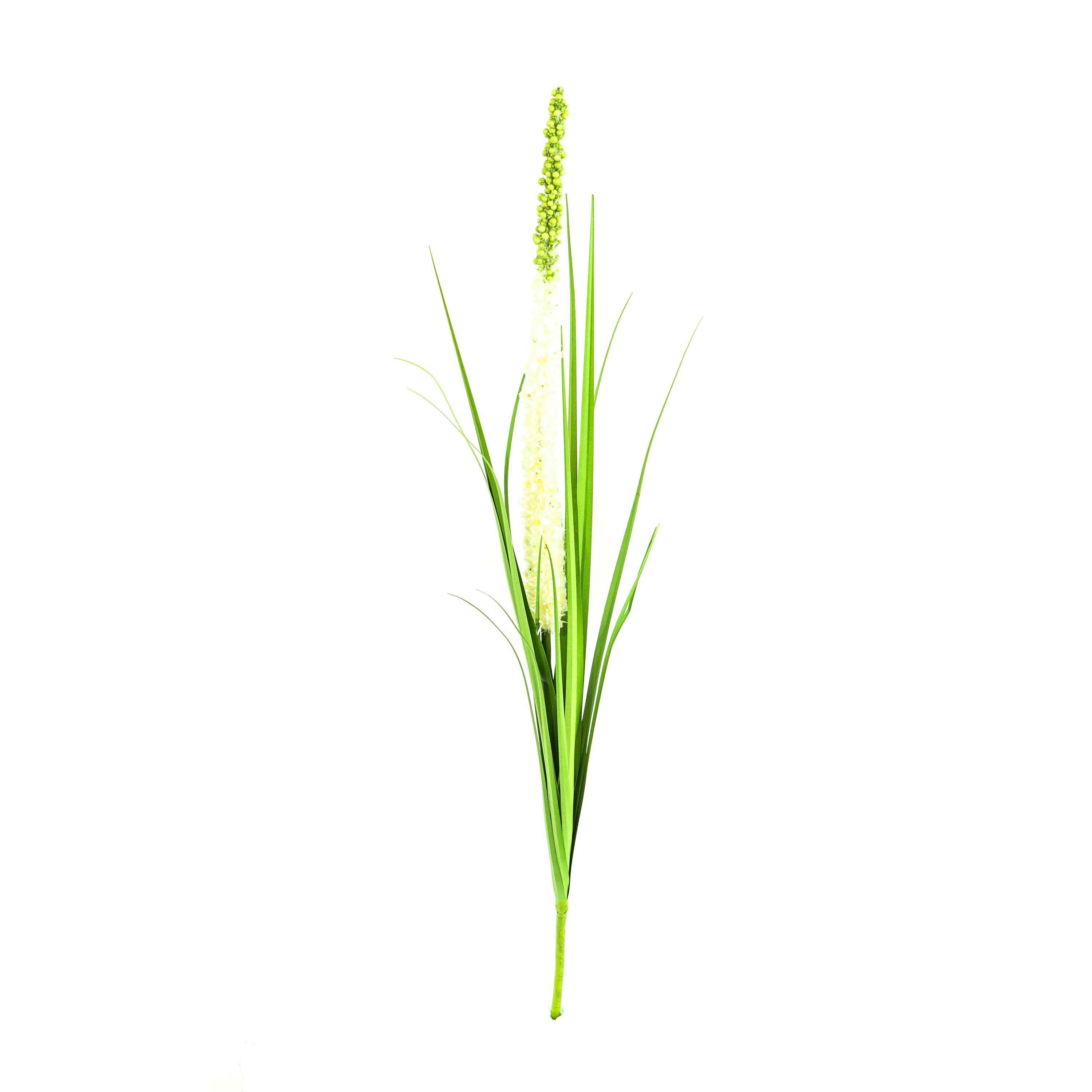 Faux Eremurus Grass - 3 Feet