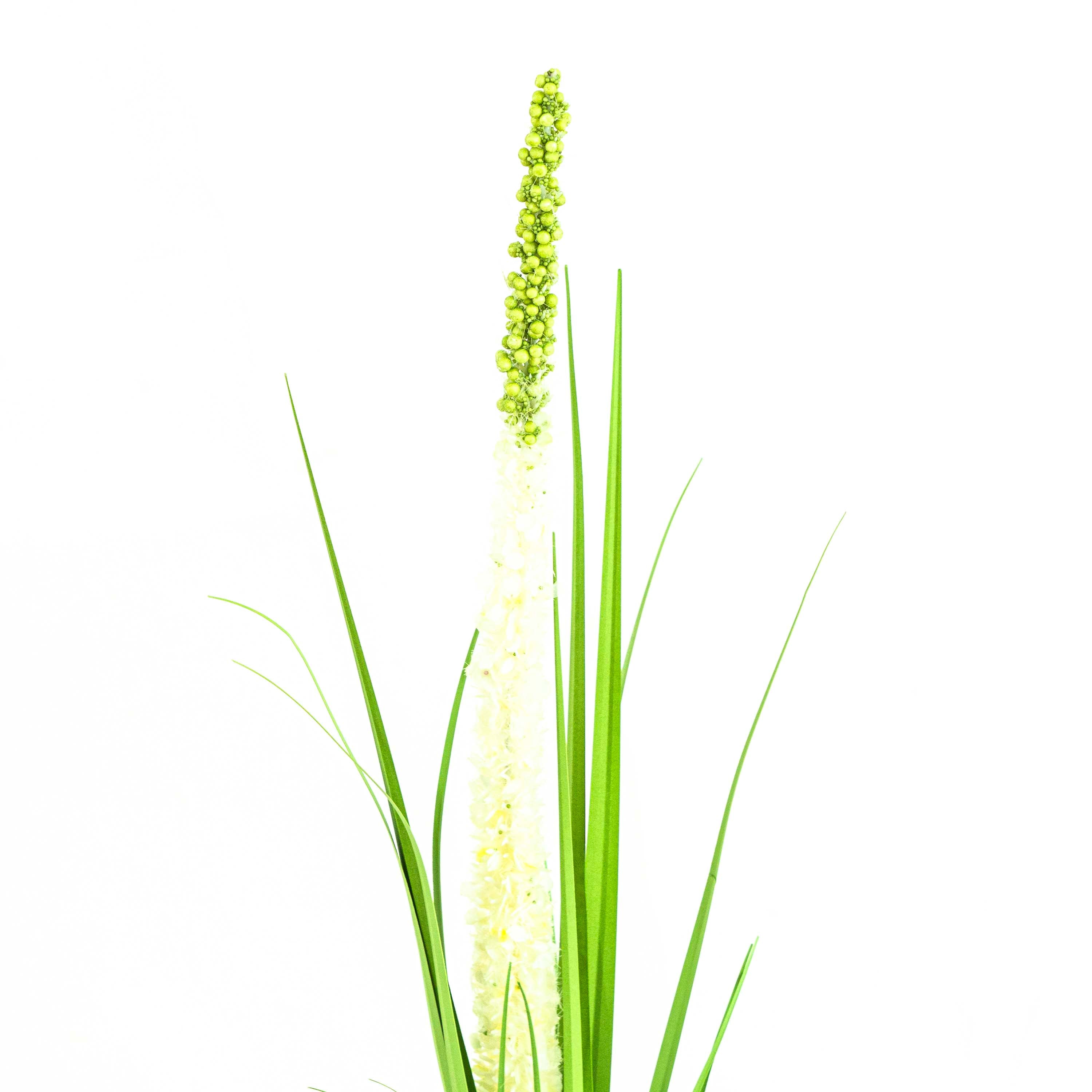 Faux Eremurus Grass - 3 Feet