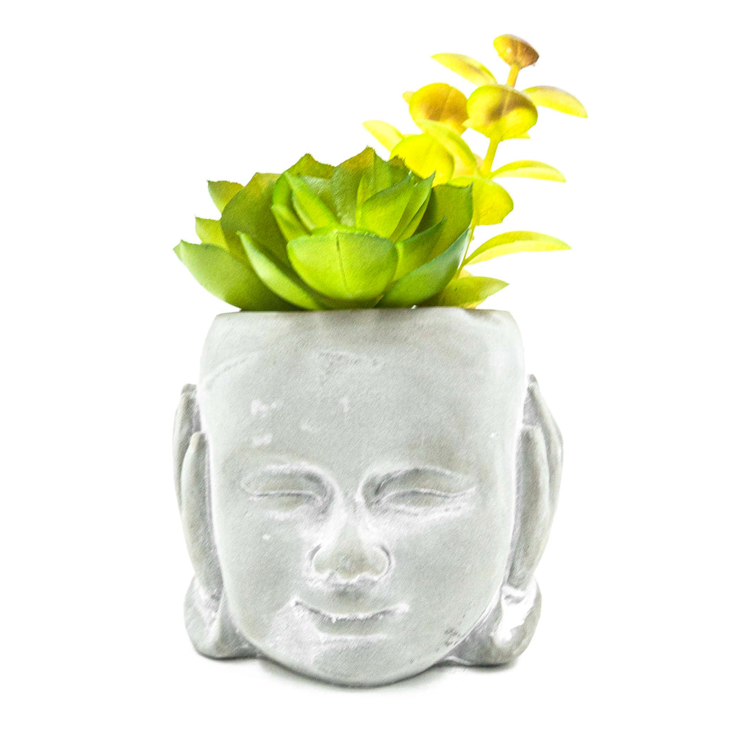 Hear No Evil Pot With Faux Succulent