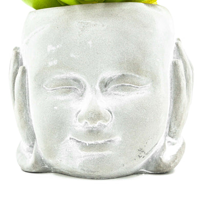 Hear No Evil Pot With Faux Succulent